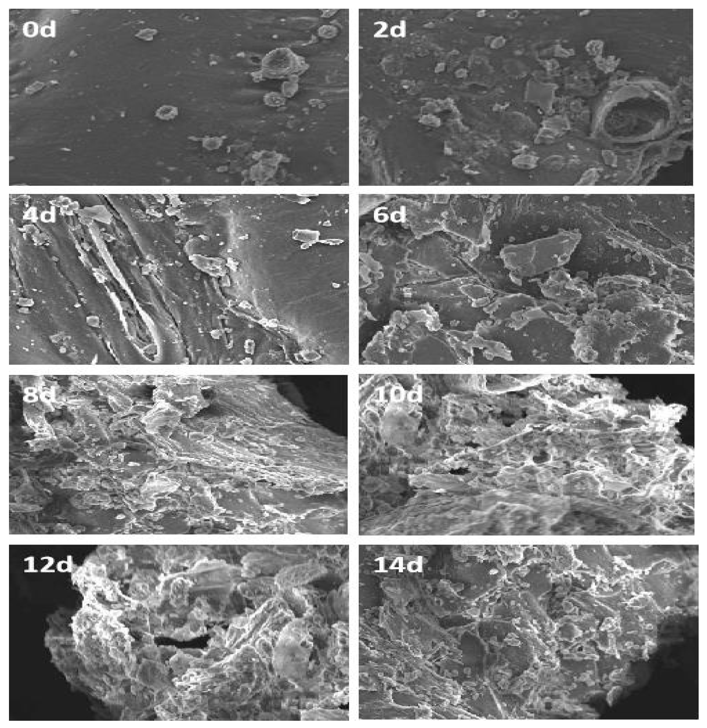 Fermentation 10 00160 g004