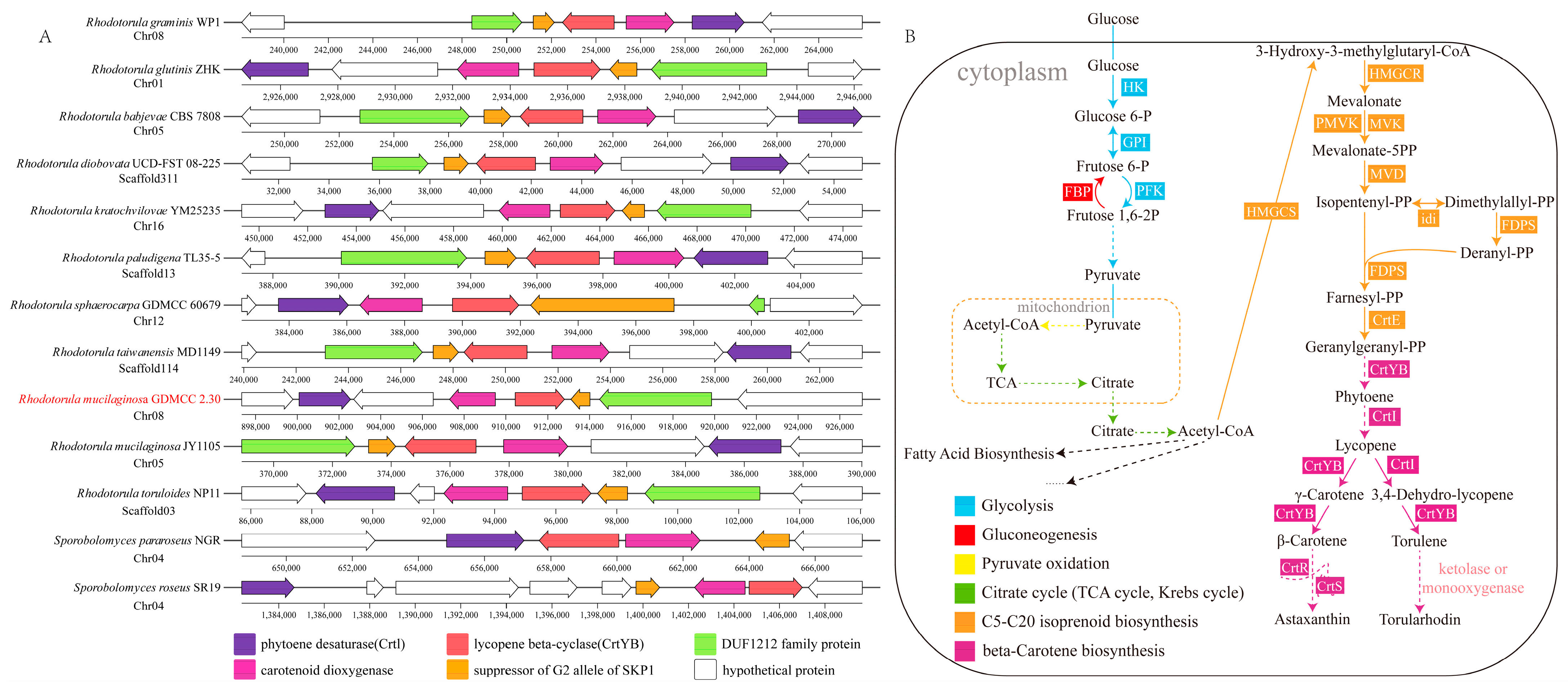 Fermentation 10 00176 g003 Fermentation 10 00176 g003