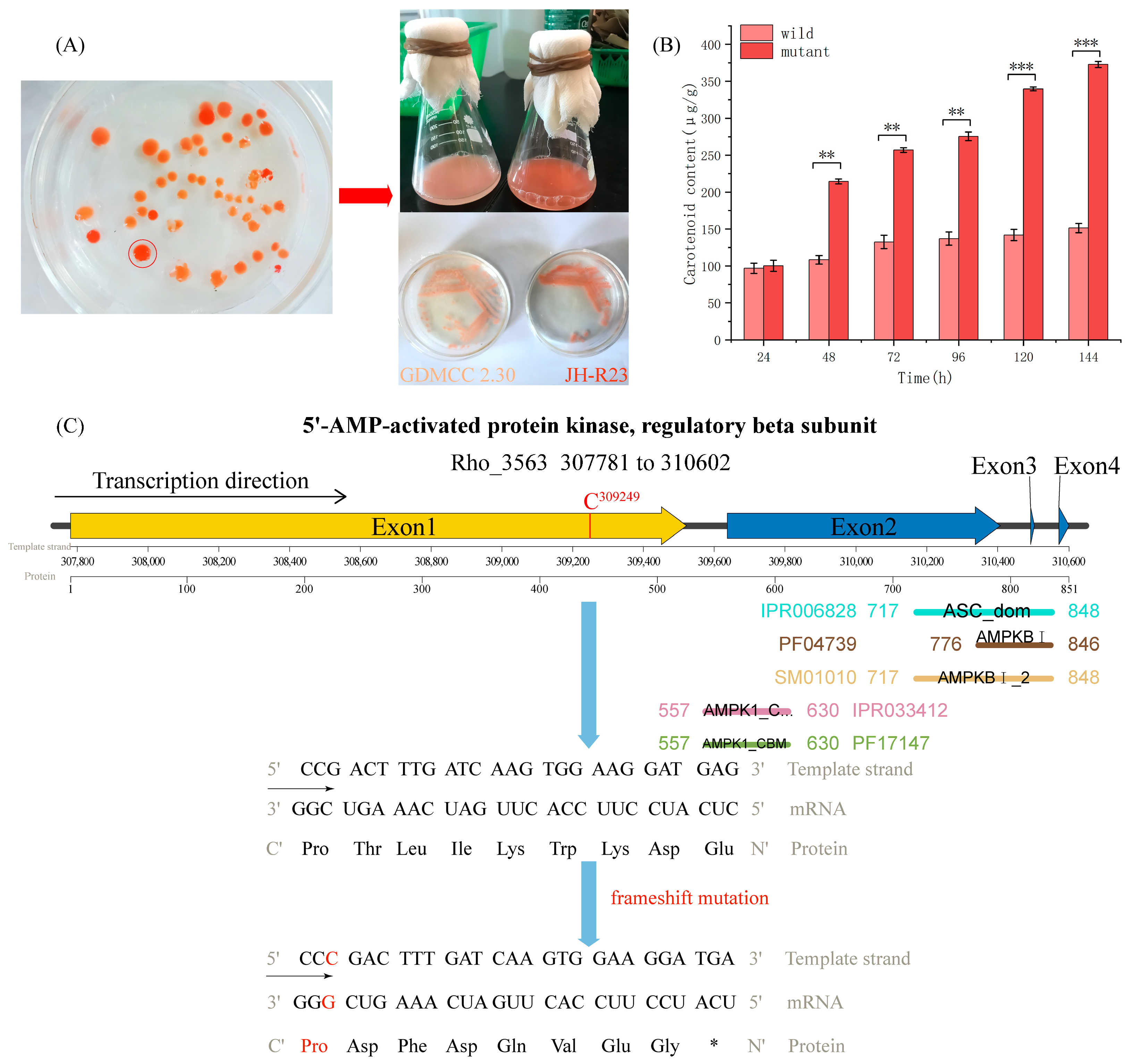 Fermentation 10 00176 g004 Fermentation 10 00176 g004