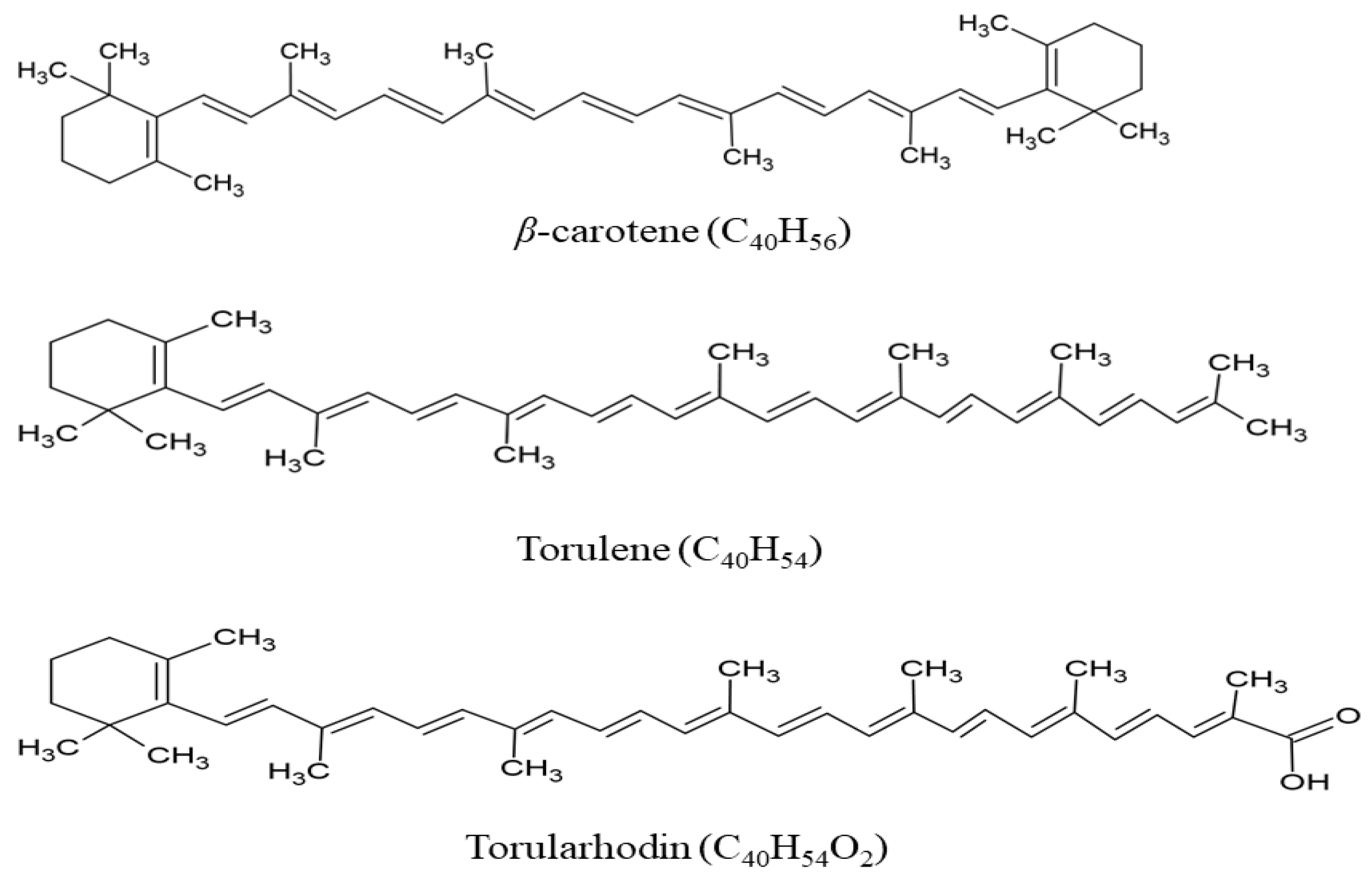 Fermentation 10 00190 g001