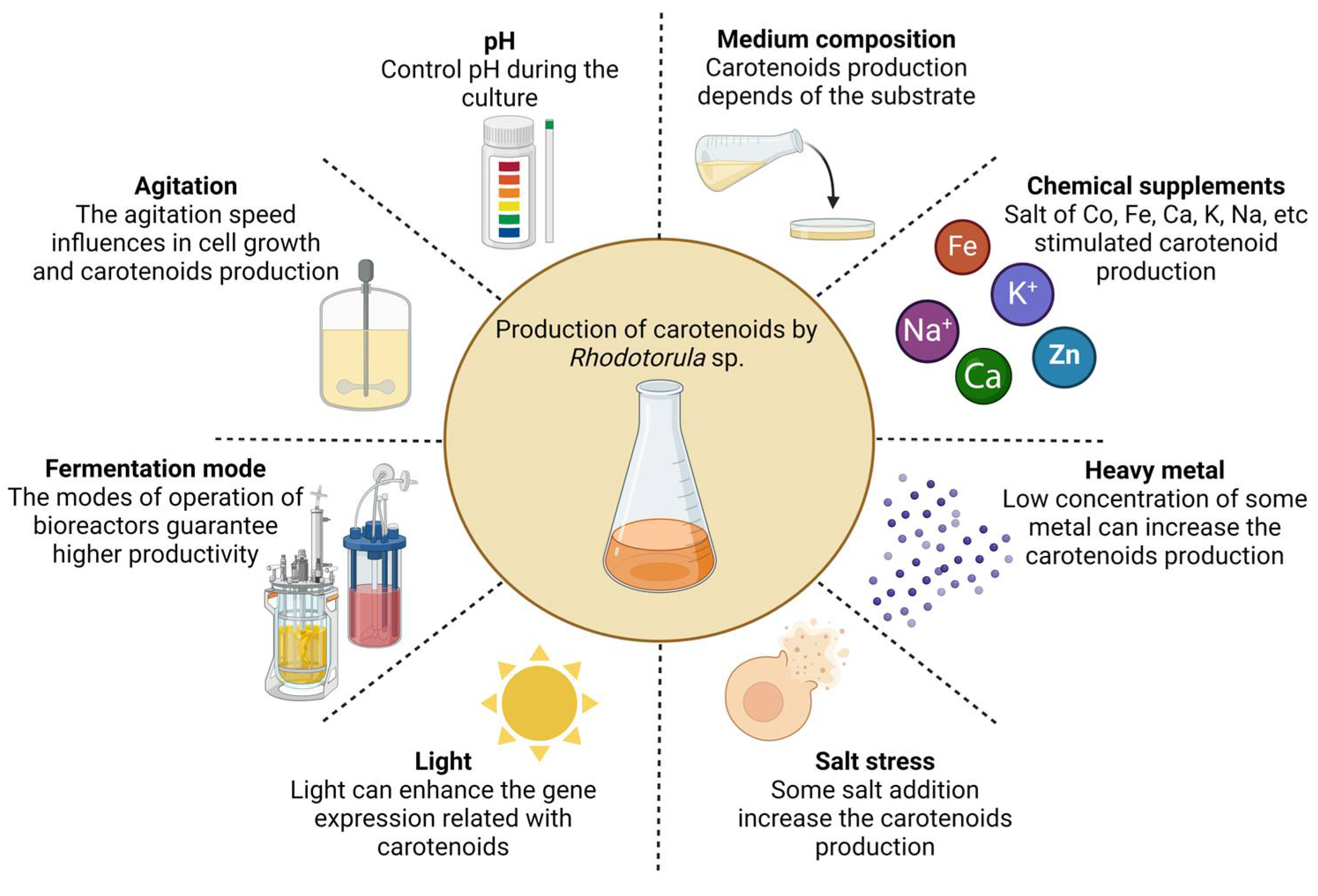 Fermentation 10 00190 g003