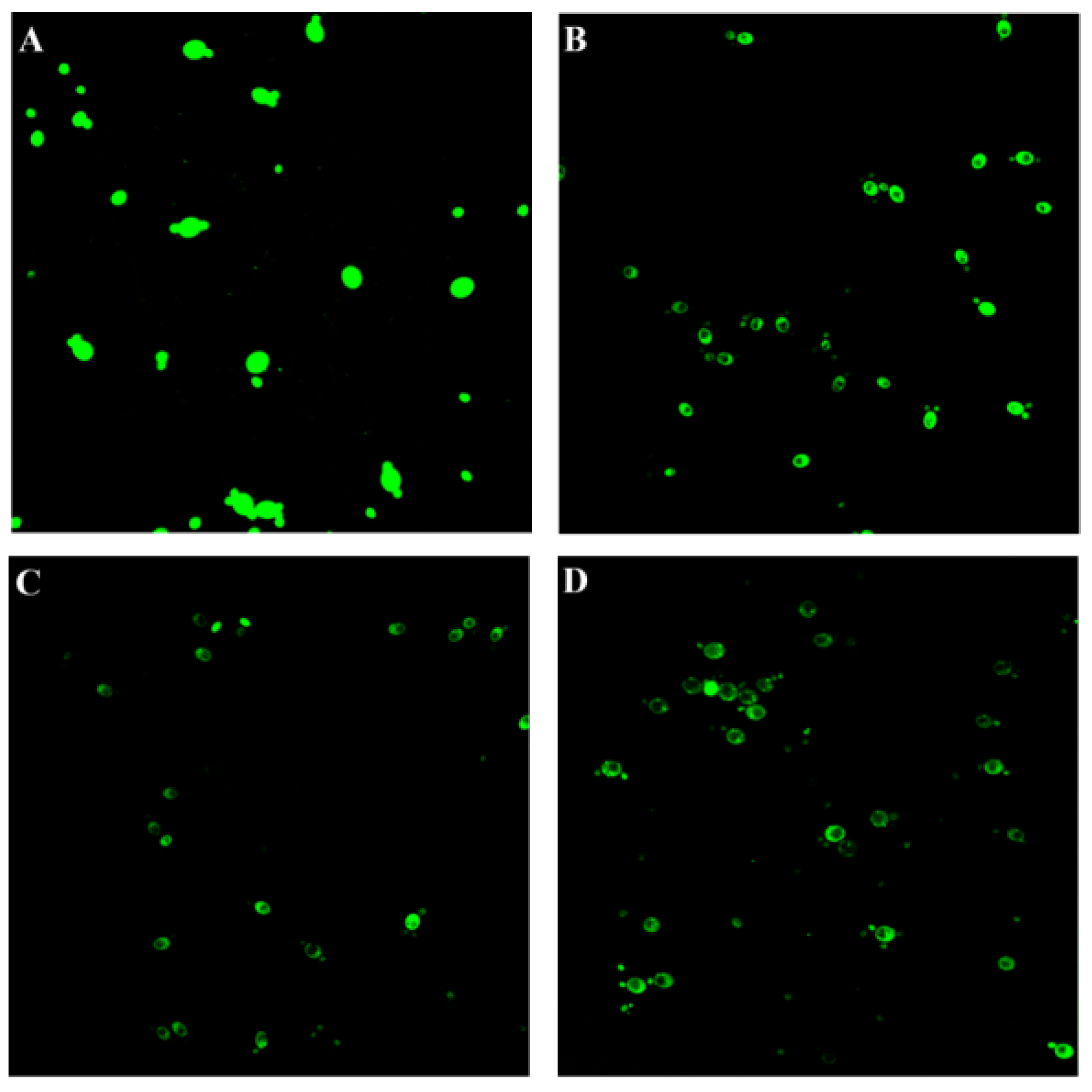 Fermentation 10 00192 g002
