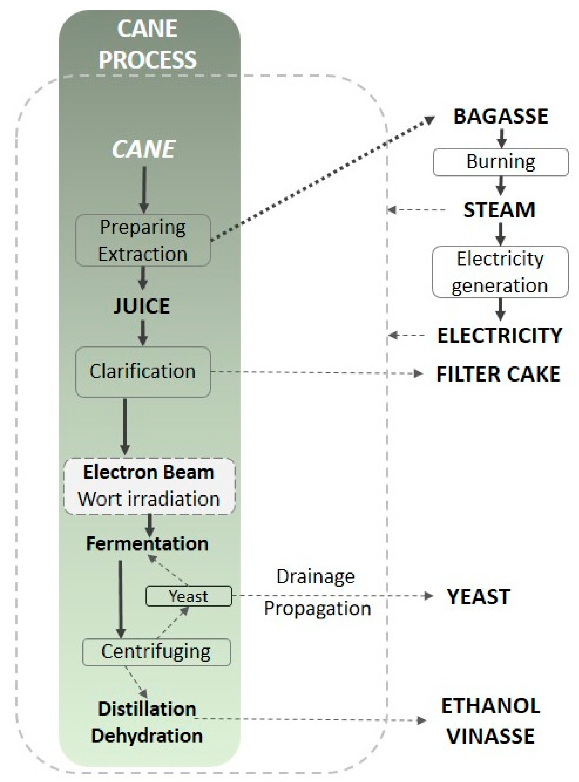 Fermentation 10 00193 g003