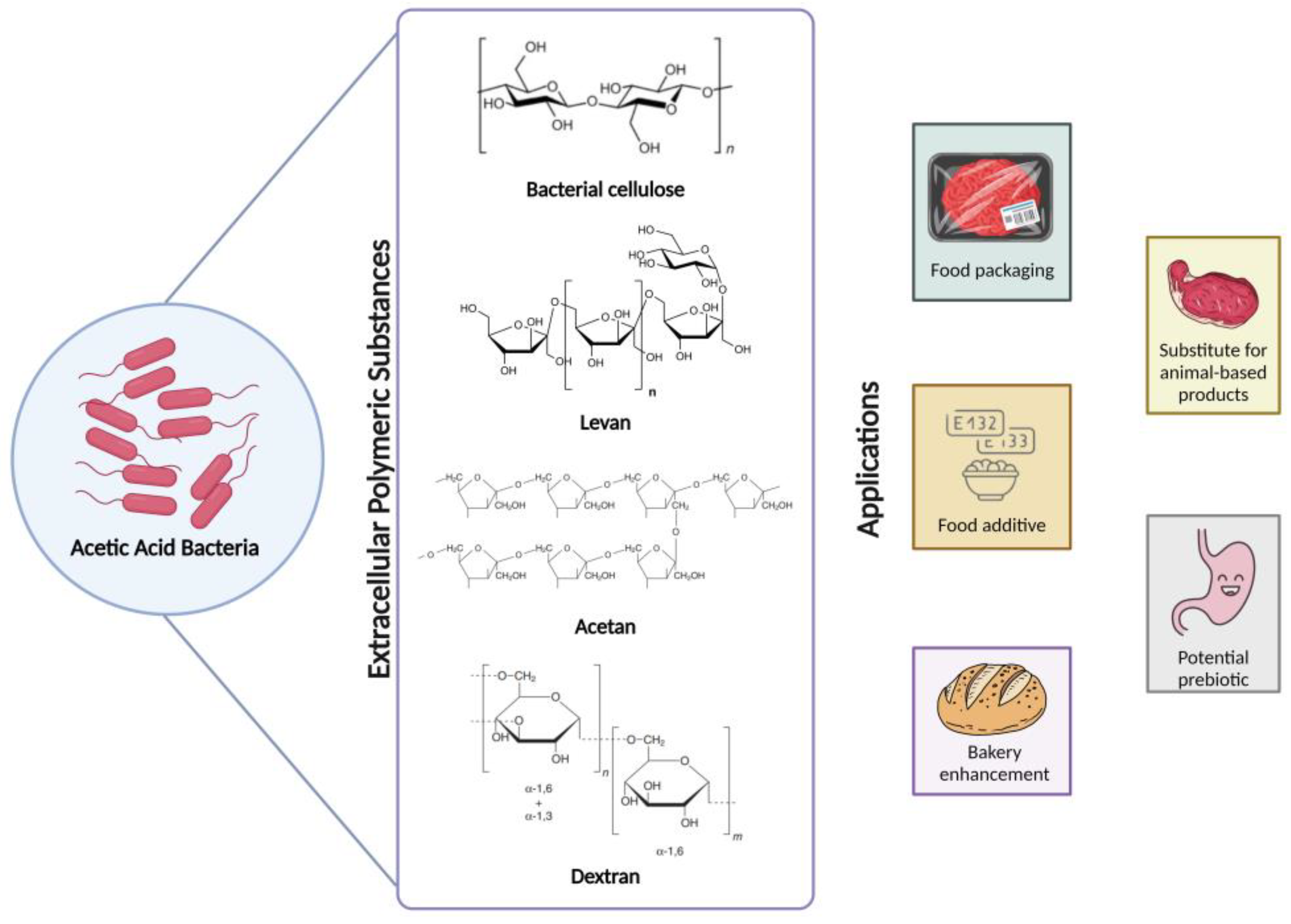 Fermentation 10 00200 g003 Fermentation 10 00200 g003