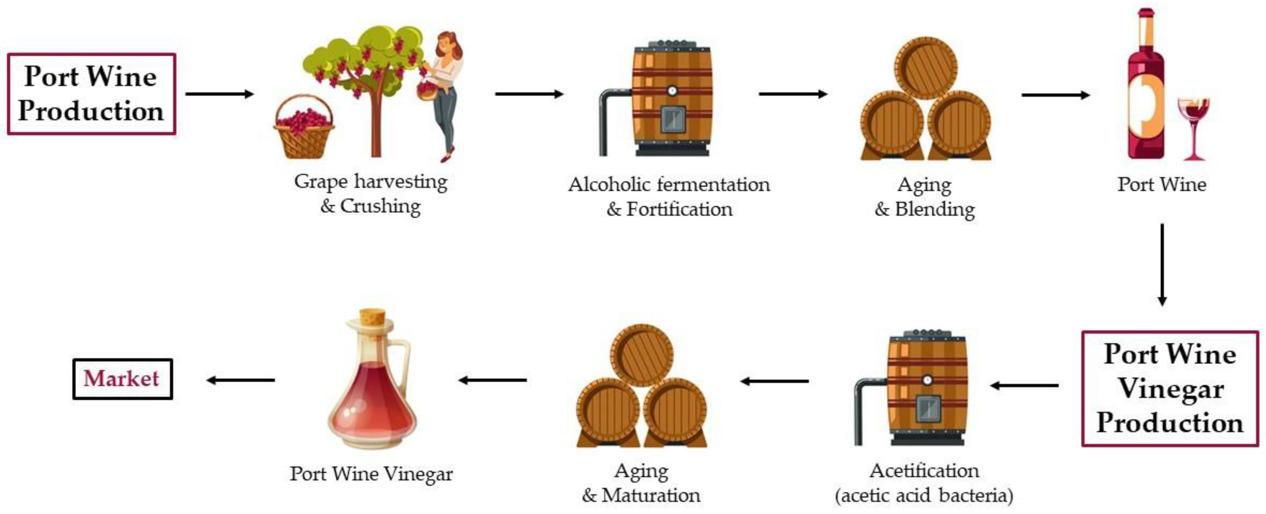 Fermentation 10 00200 g005 Fermentation 10 00200 g005