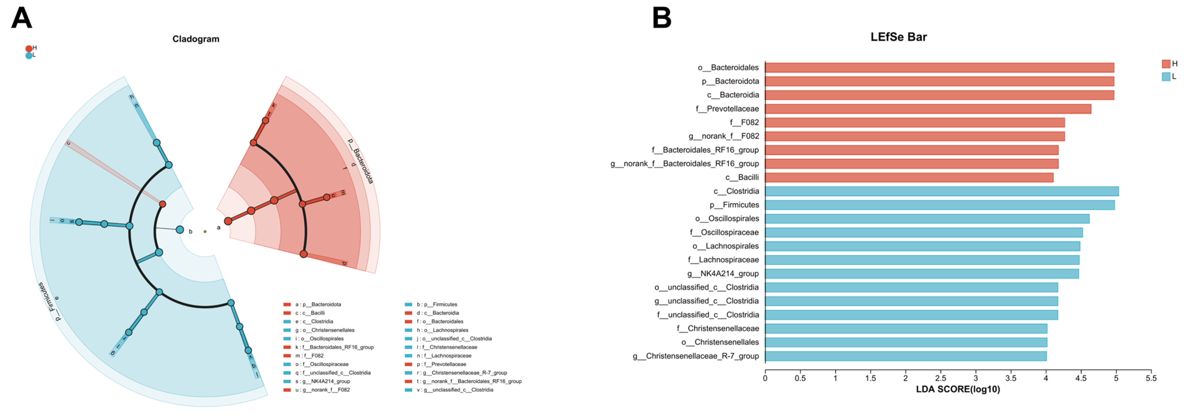 Fermentation 10 00205 g003