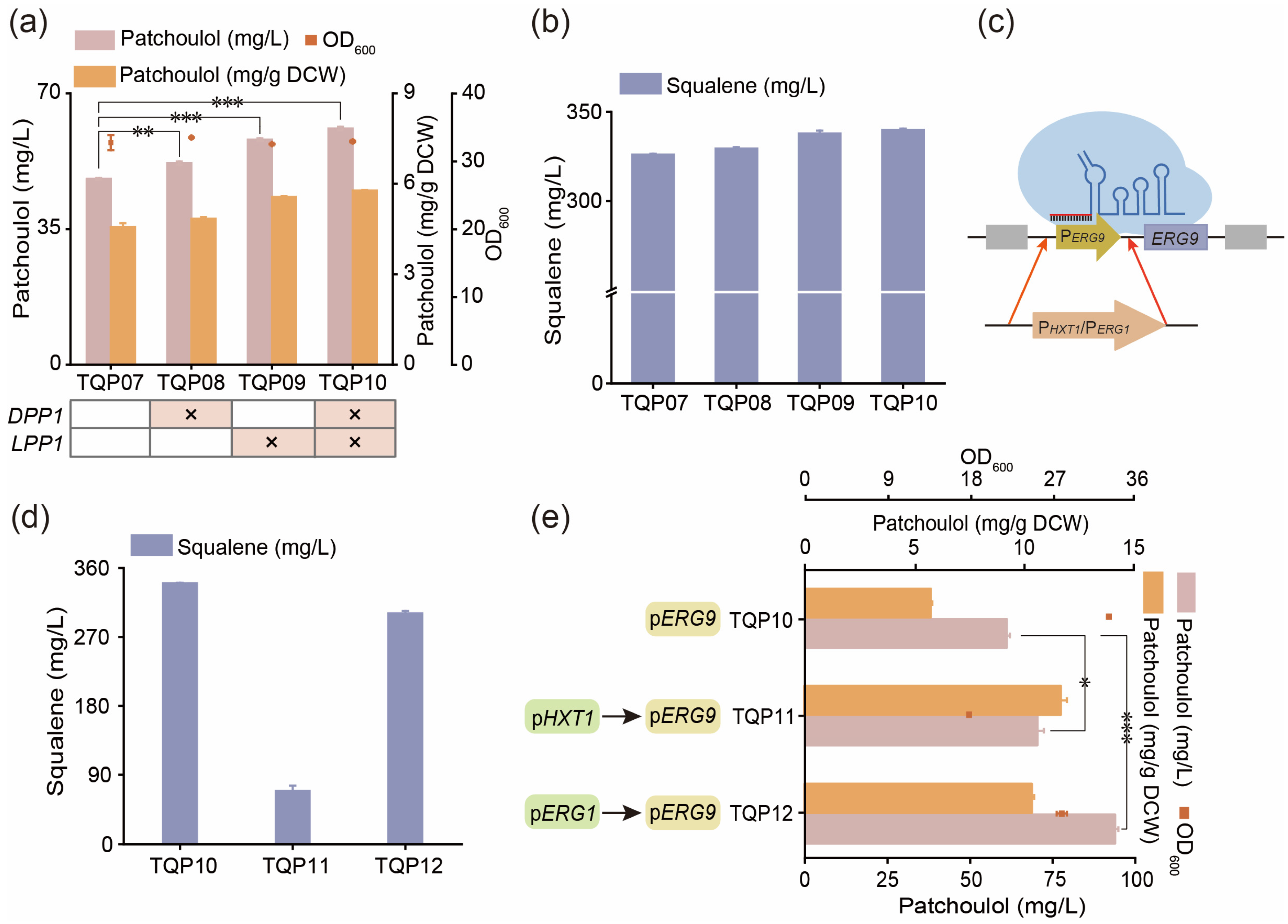 Fermentation 10 00211 g004 Fermentation 10 00211 g004