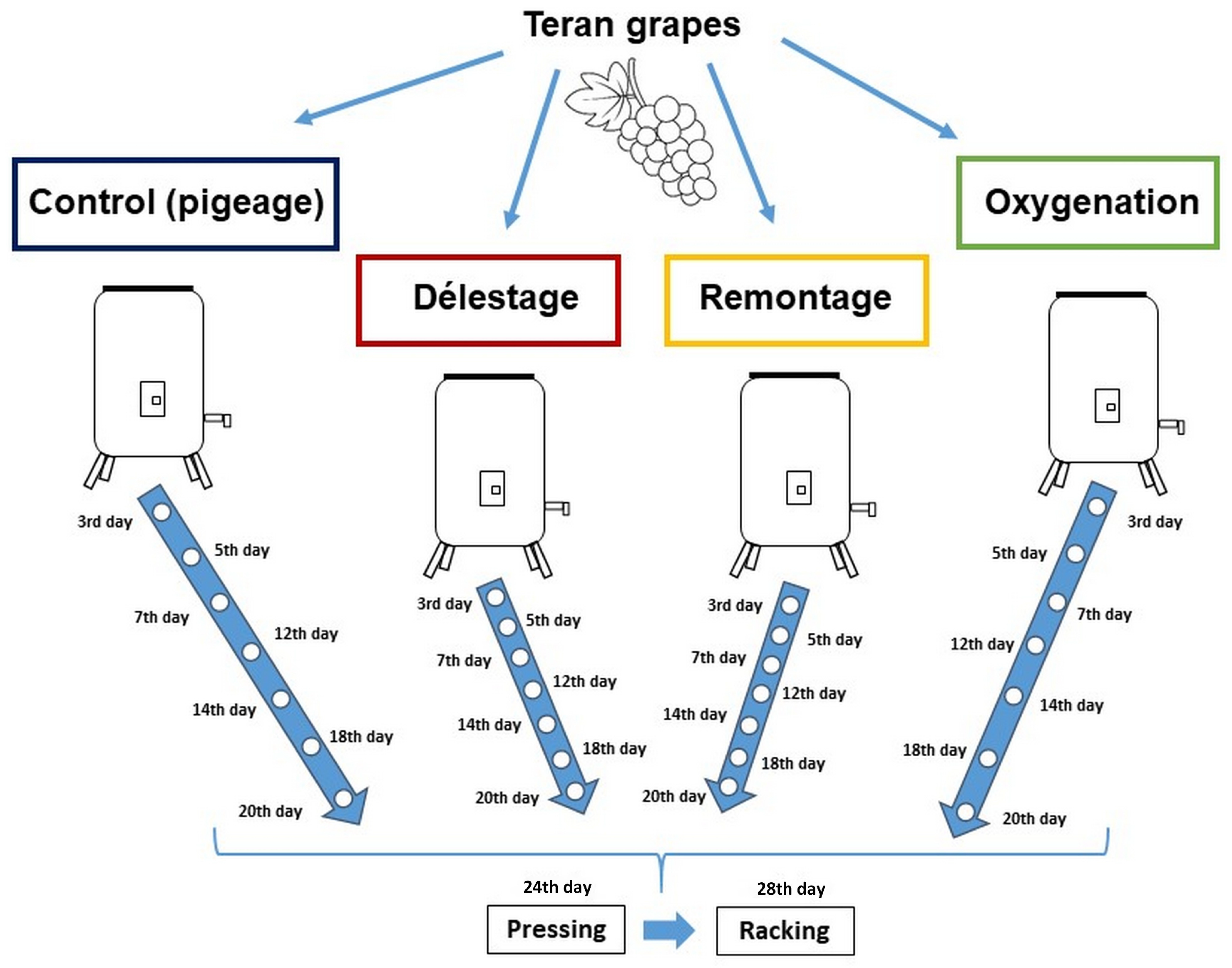 Fermentation 10 00252 g001