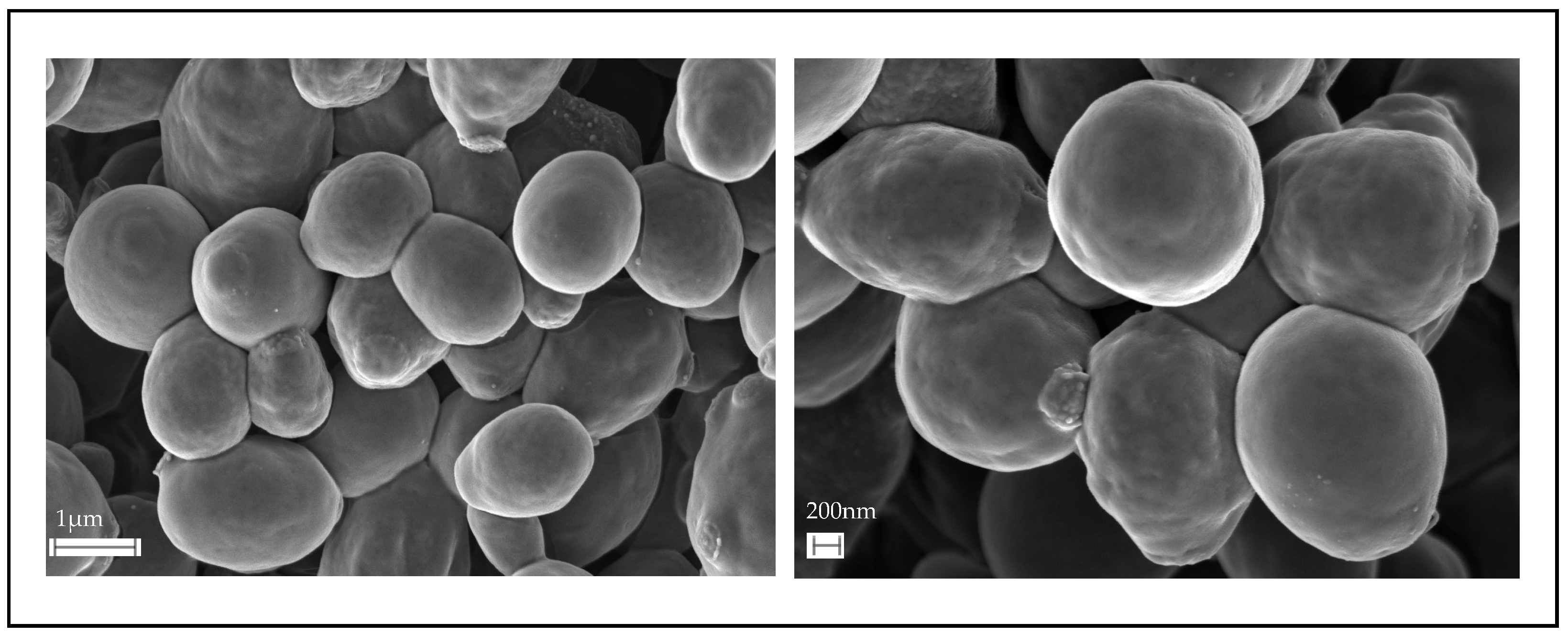 Fermentation 10 00260 g001 Fermentation 10 00260 g001