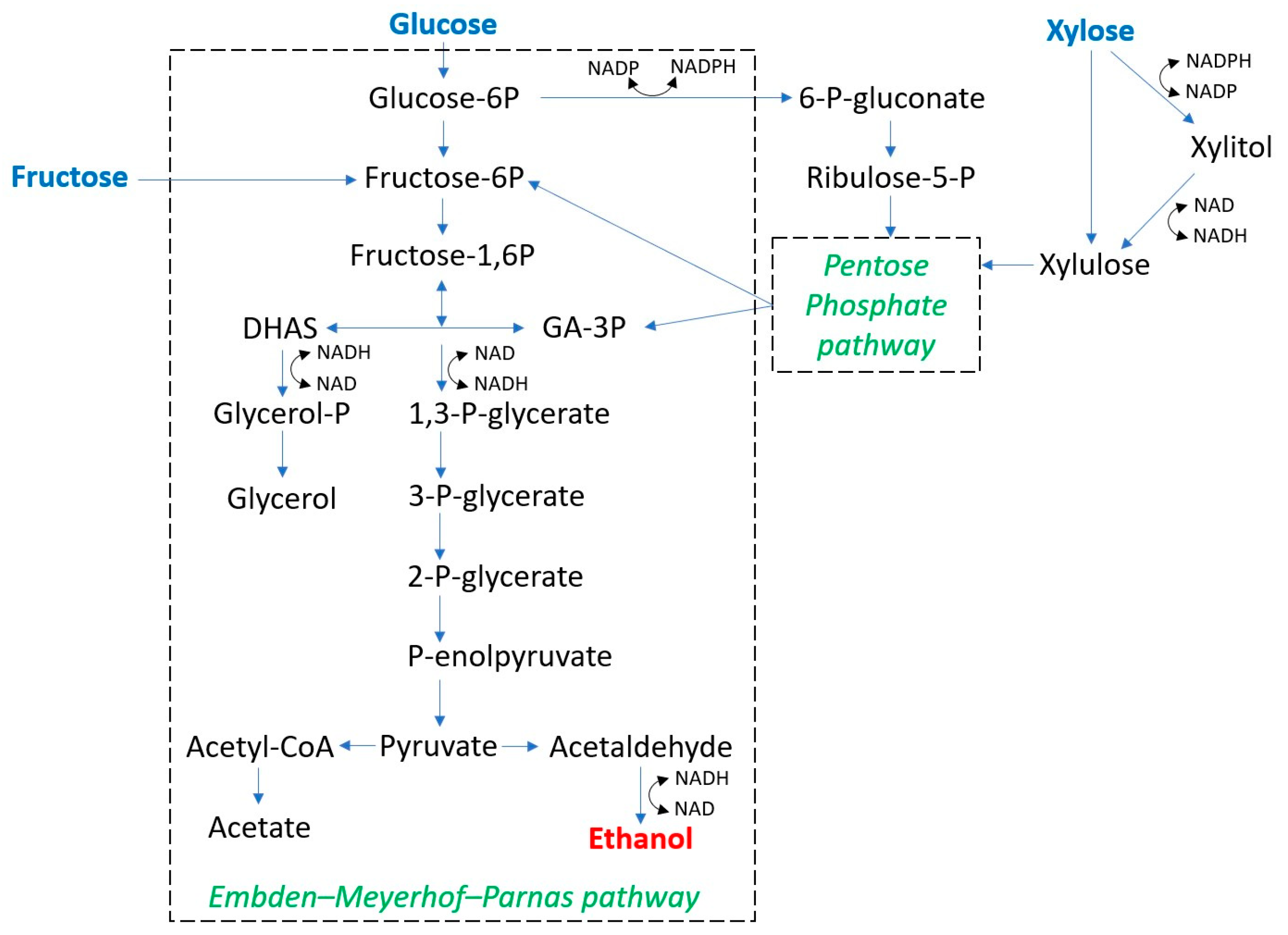 Fermentation 10 00260 g004 Fermentation 10 00260 g004