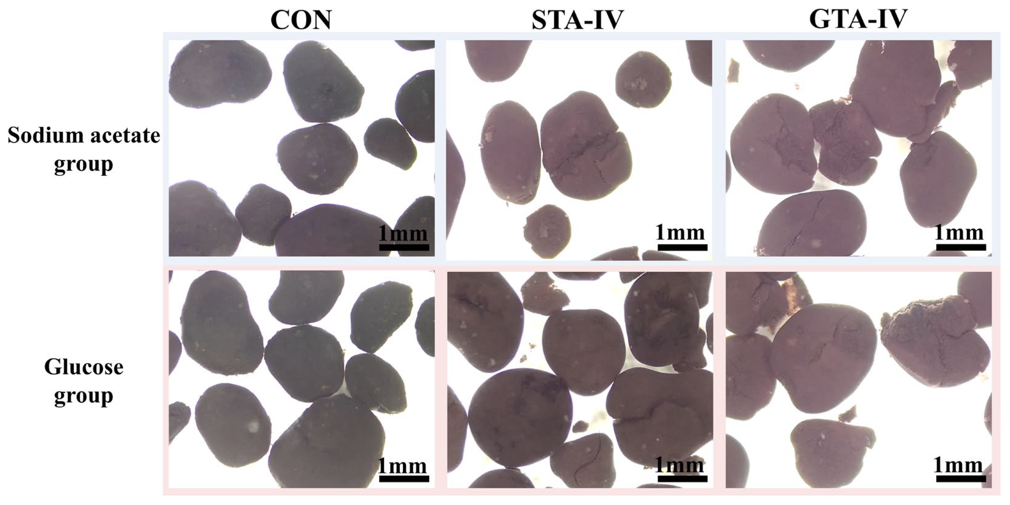 Fermentation 10 00262 g004