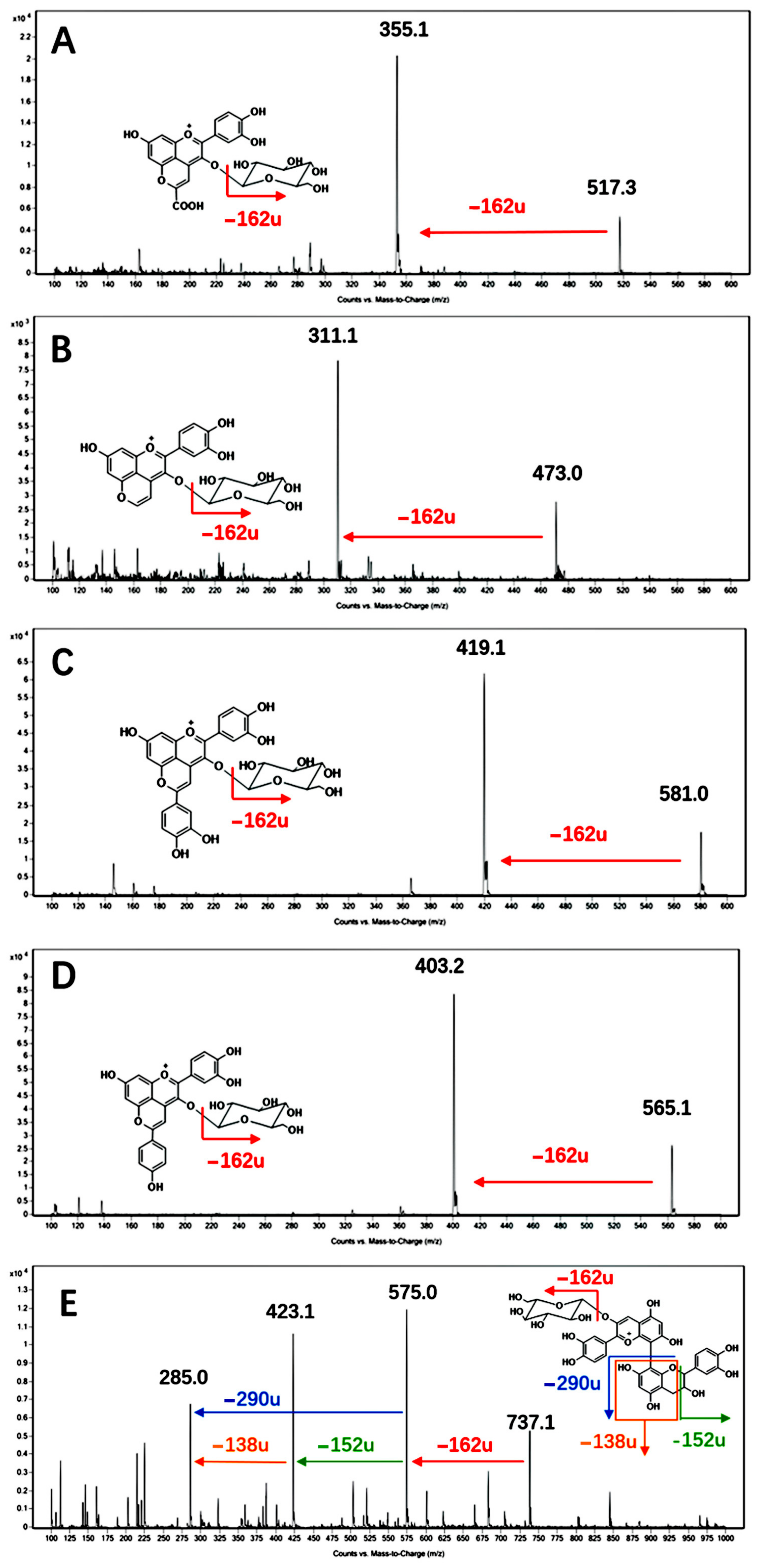 Fermentation 10 00271 g002