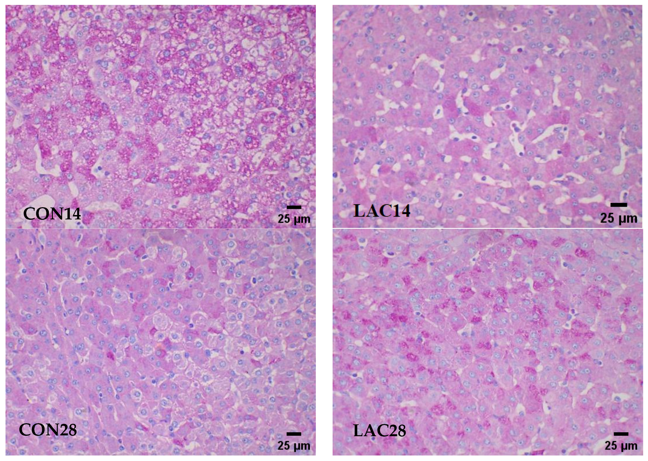 Fermentation 10 00286 g002