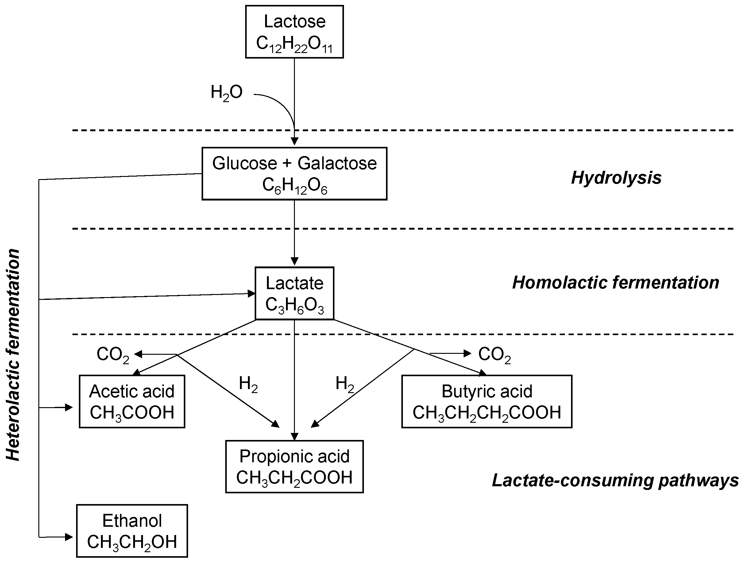 Fermentation 10 00296 g004