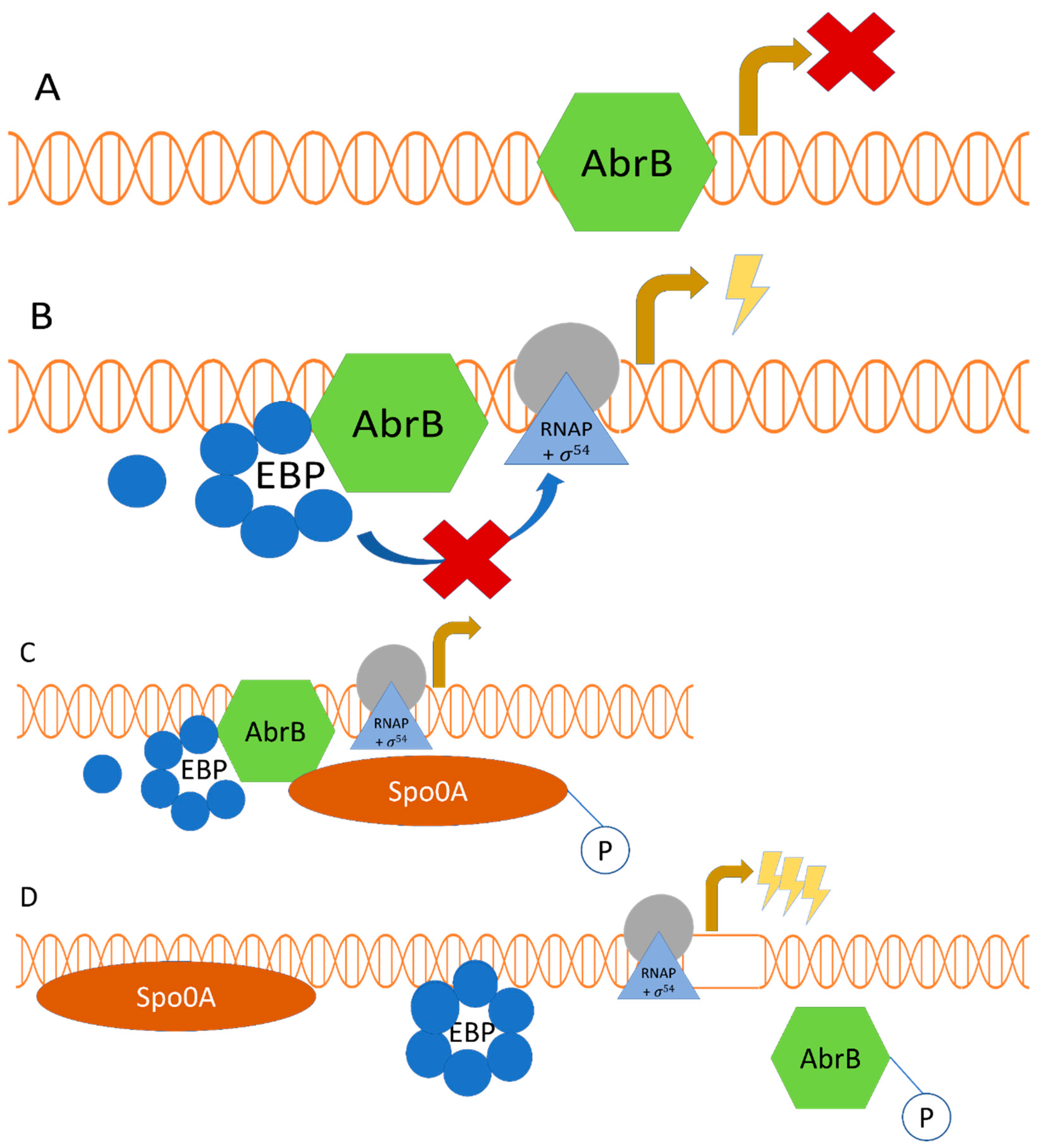 Fermentation 10 00297 g001