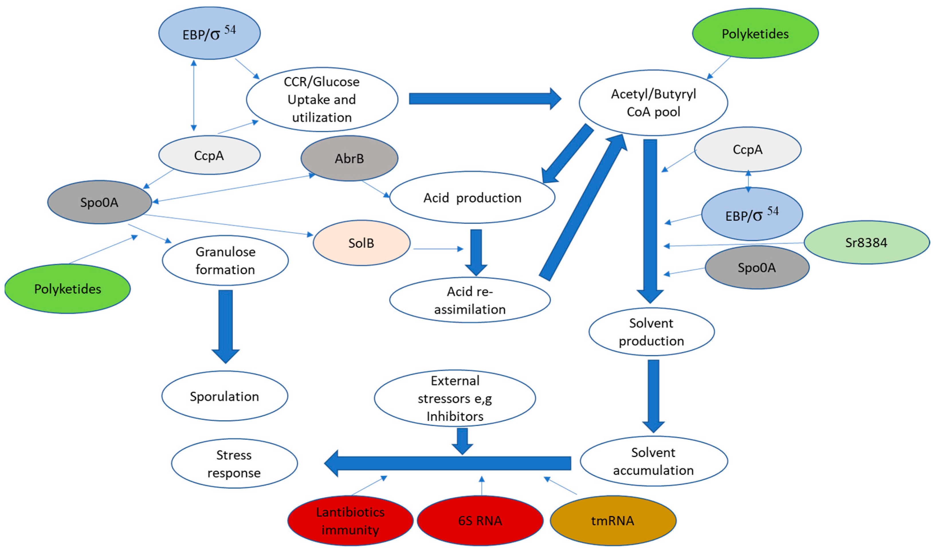Fermentation 10 00297 g002