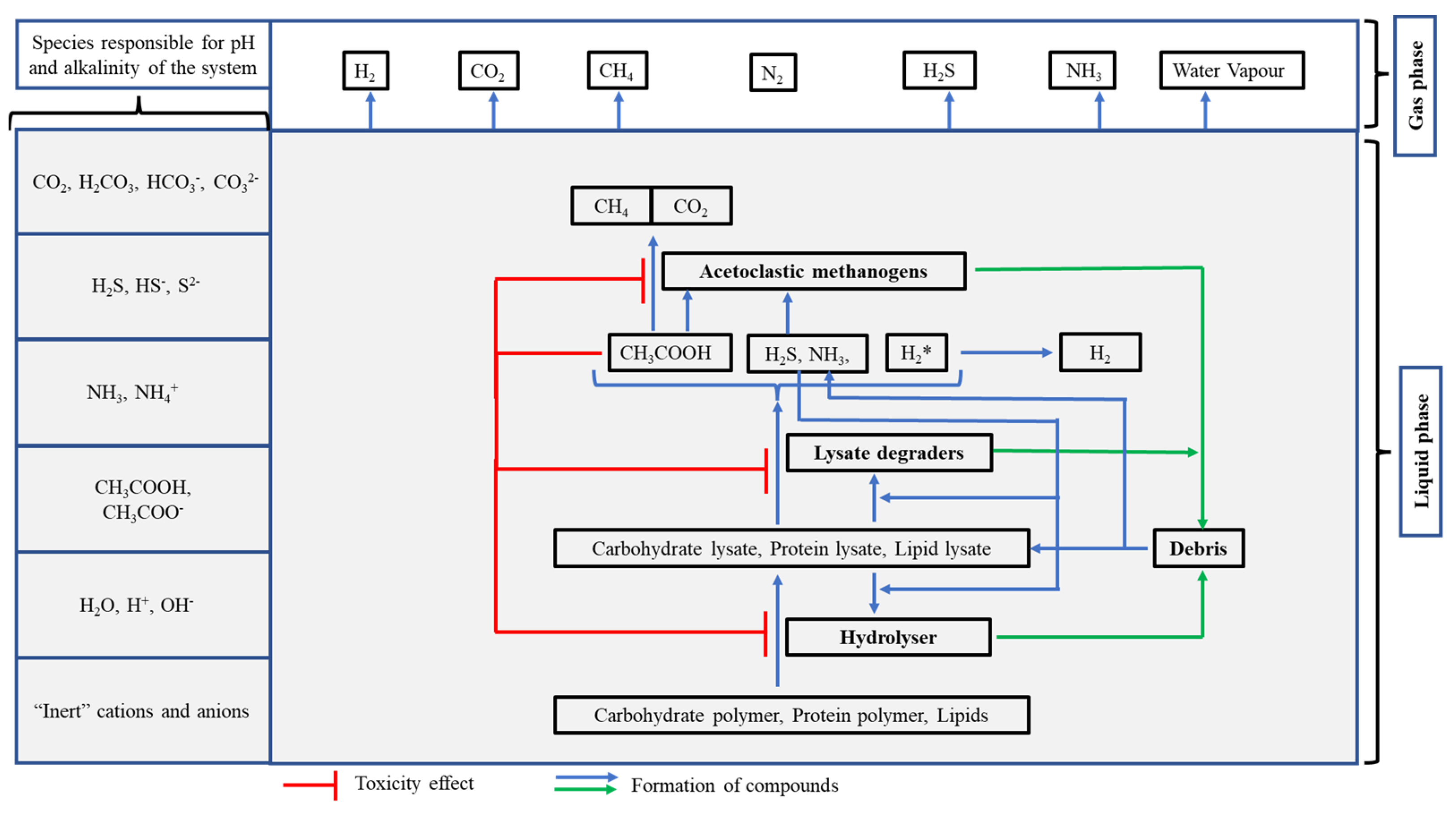 Fermentation 10 00299 g001