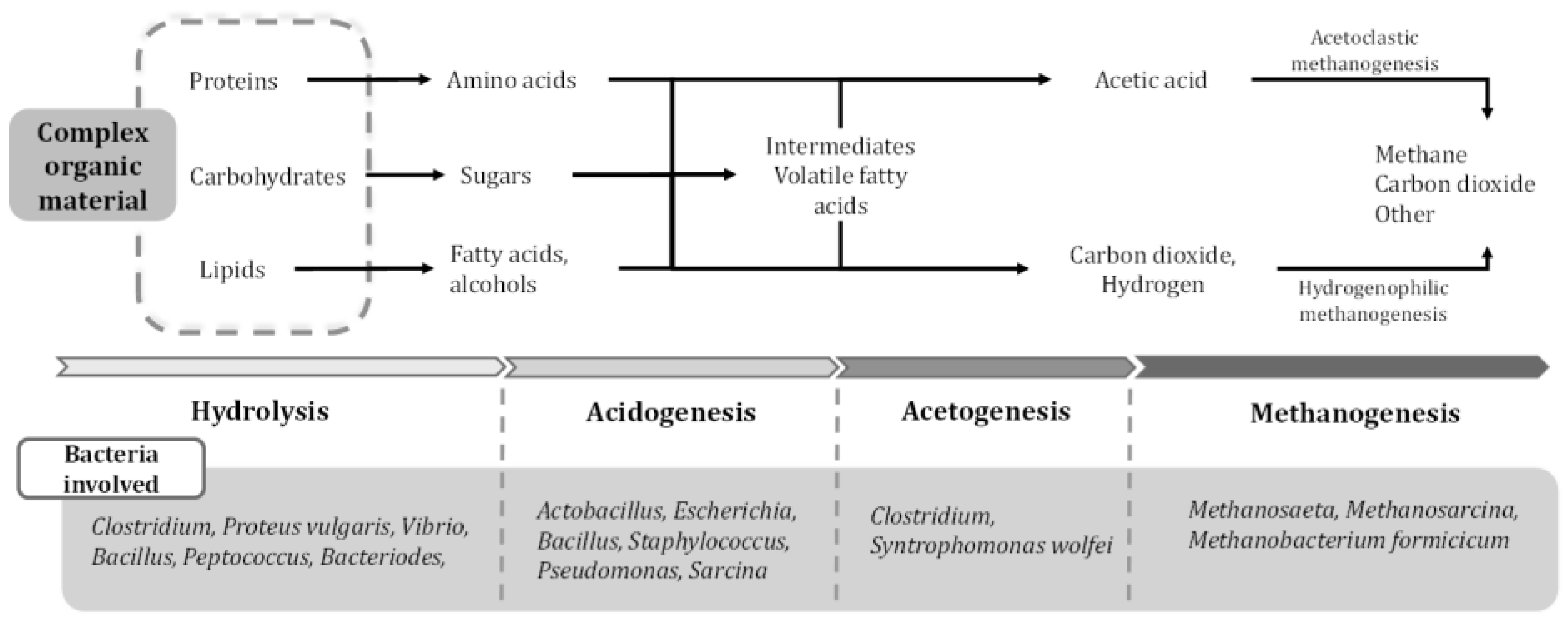 Fermentation 10 00300 g002