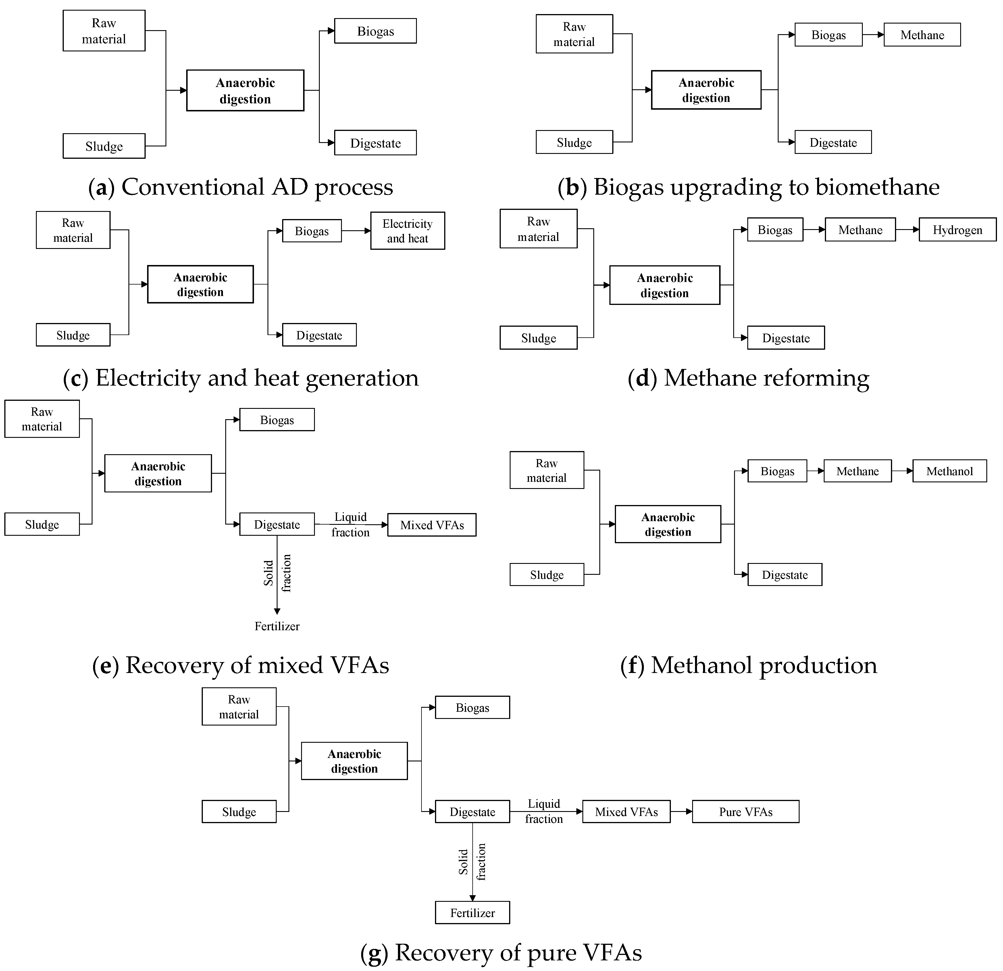 Fermentation 10 00300 g005a