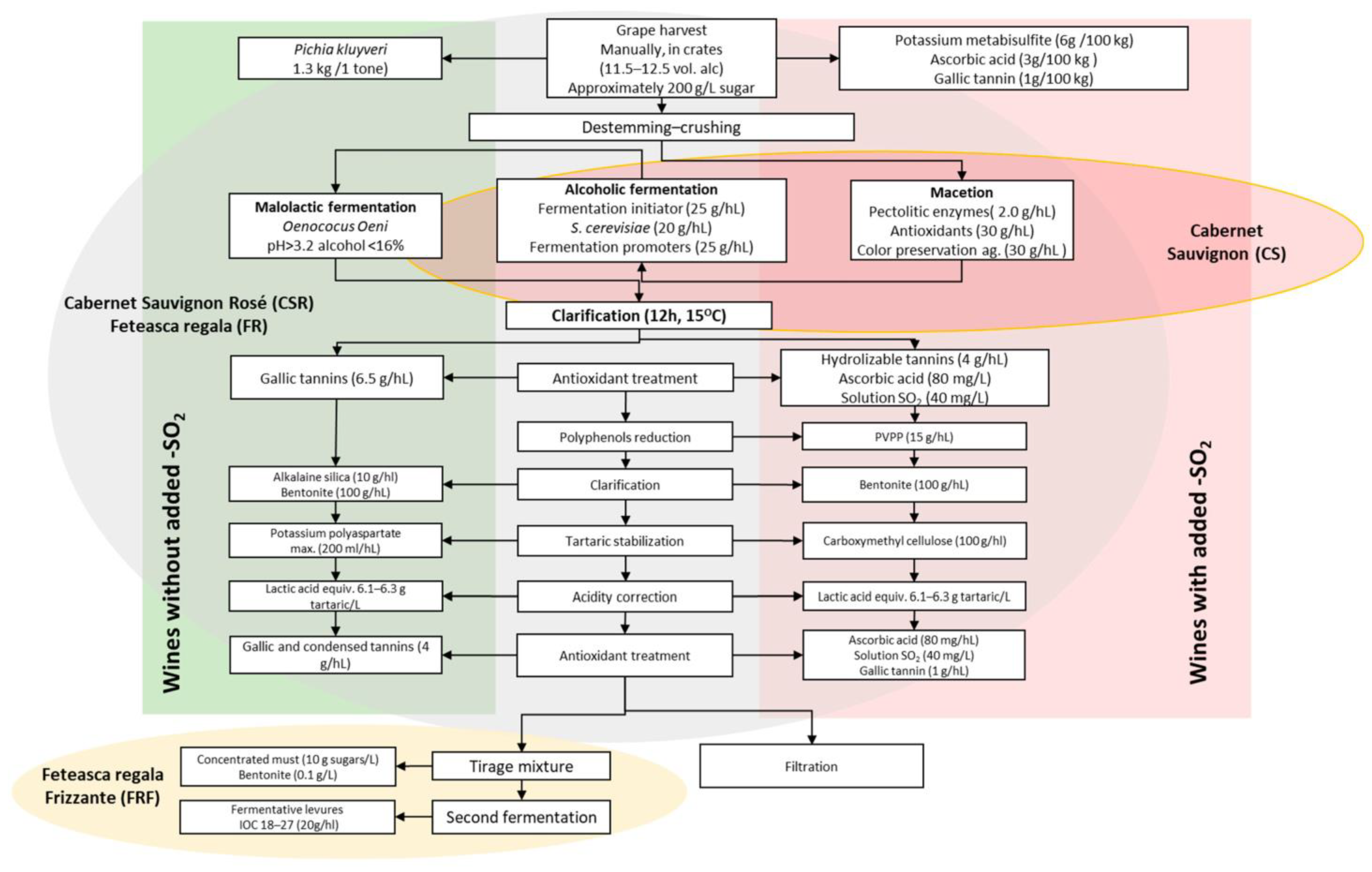 Fermentation 10 00302 g001
