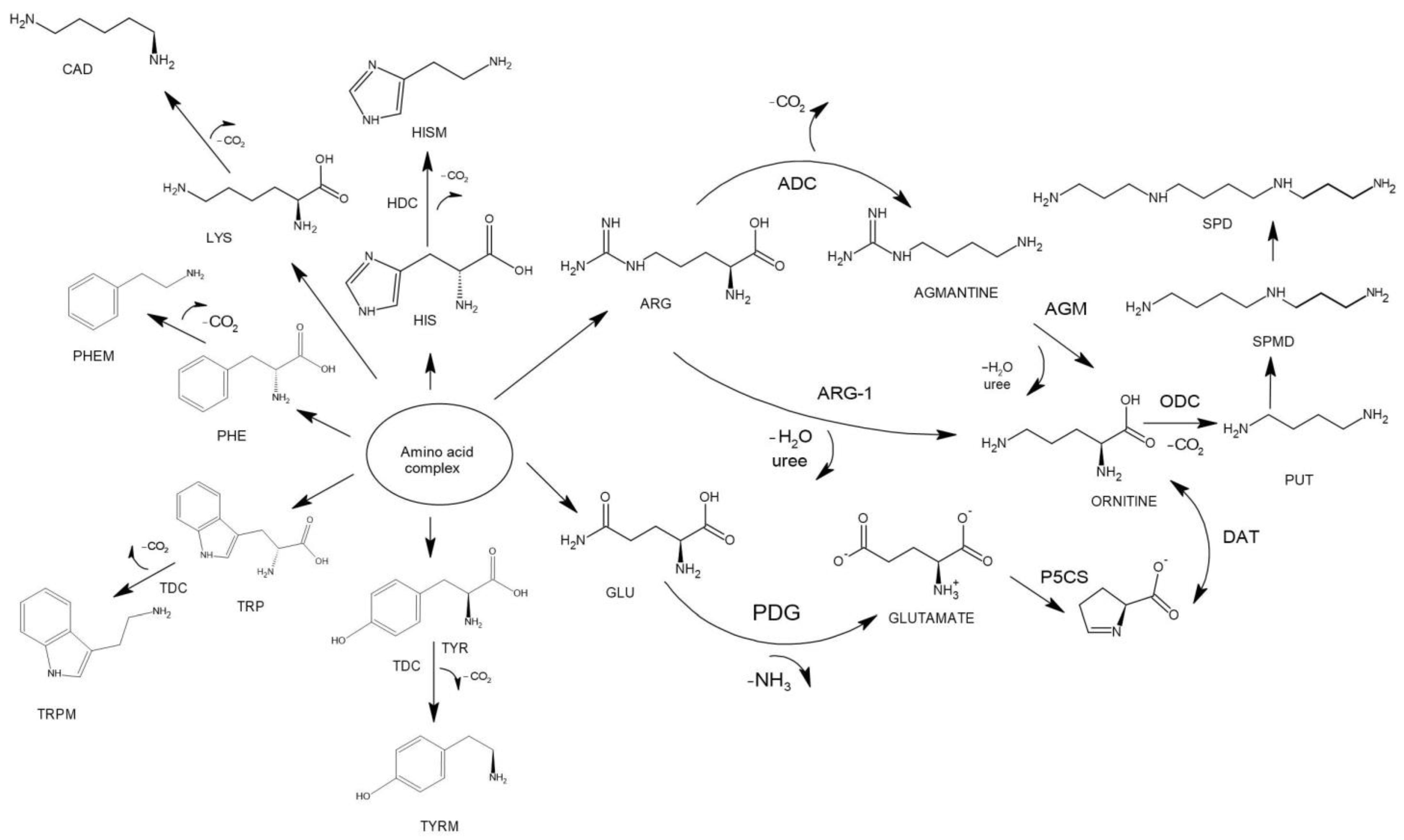 Fermentation 10 00302 g006