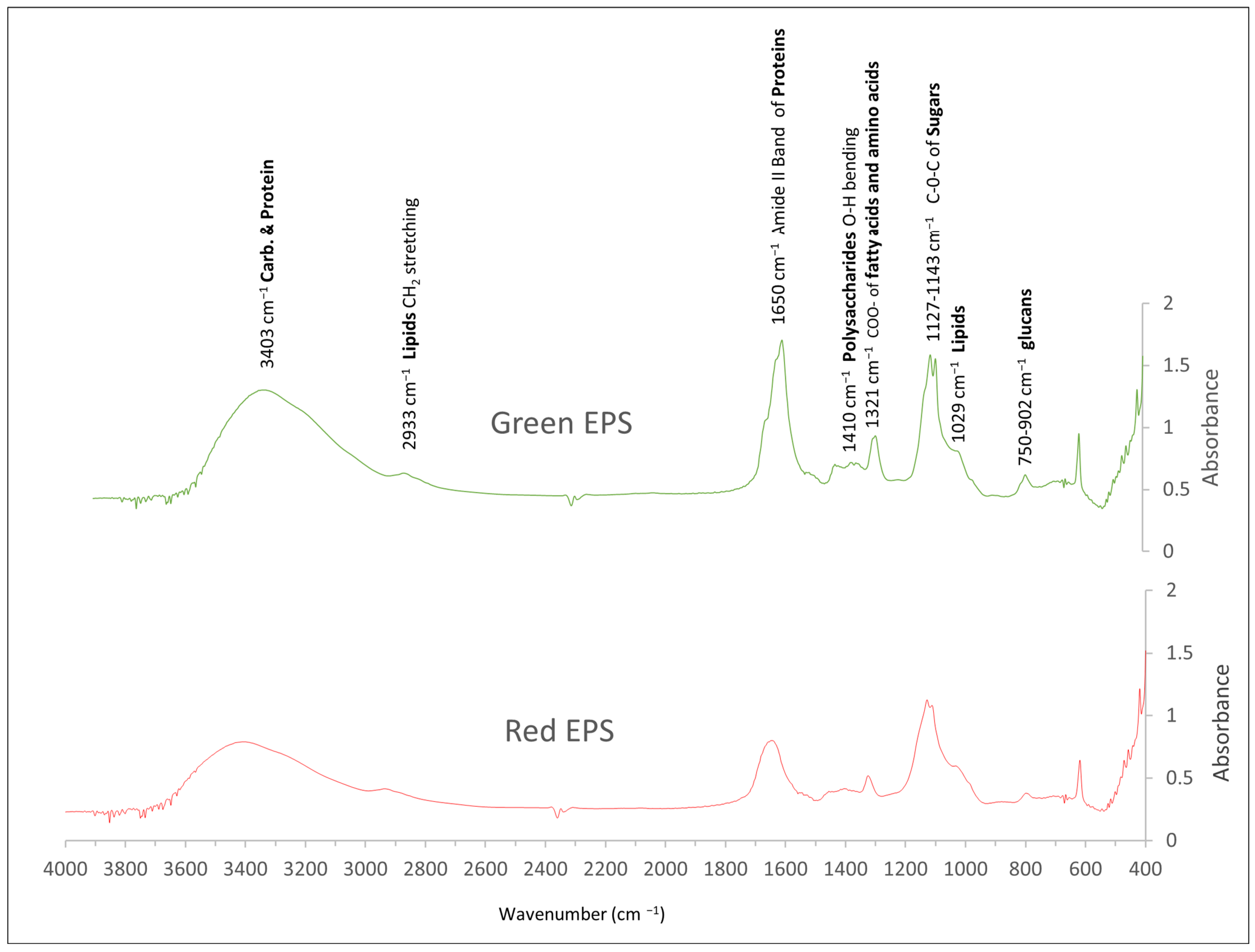 Fermentation 10 00313 g004