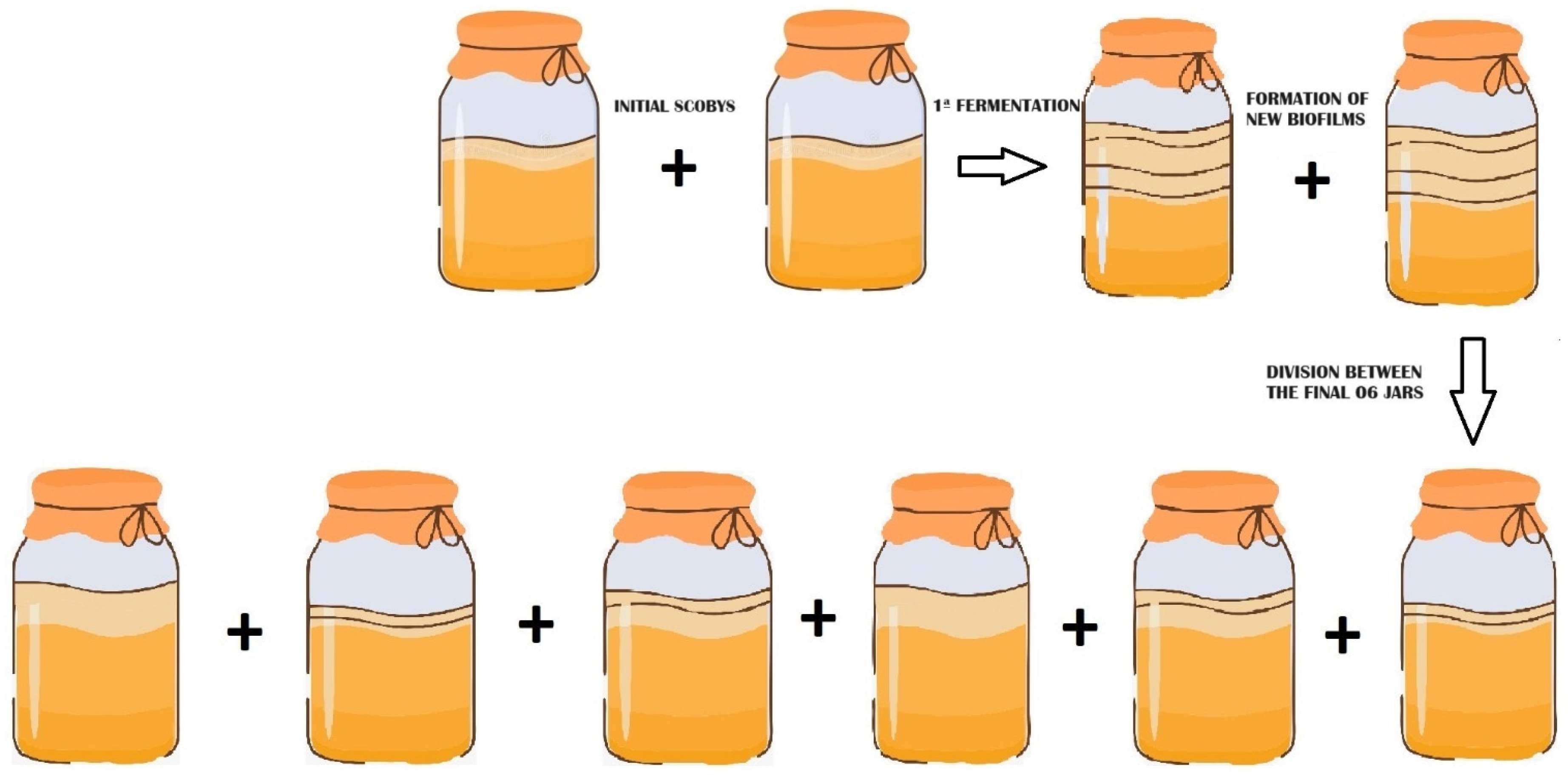 Fermentation 10 00334 g002