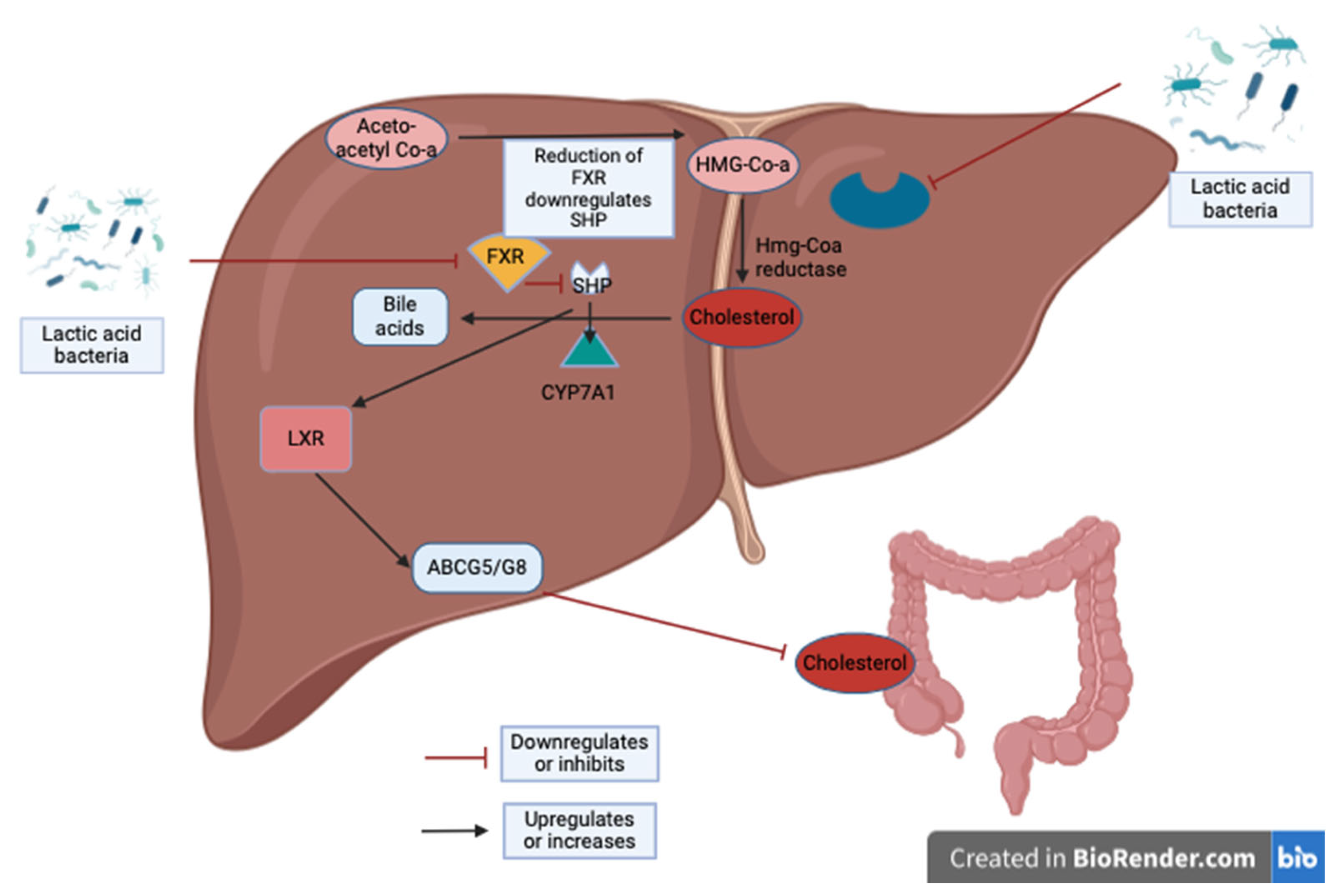 Fermentation 10 00350 g002