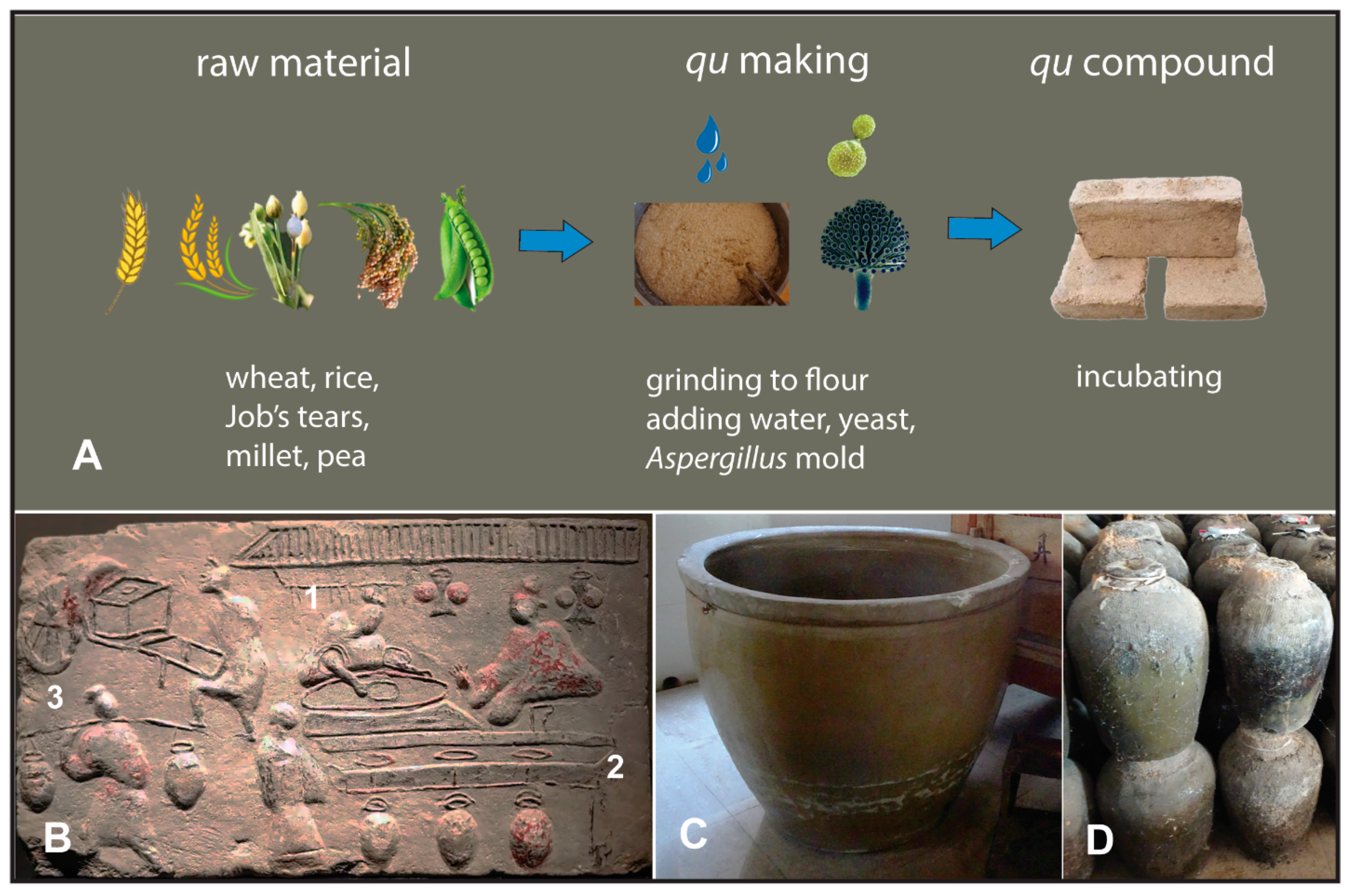 Fermentation 10 00365 g007 Fermentation 10 00365 g007