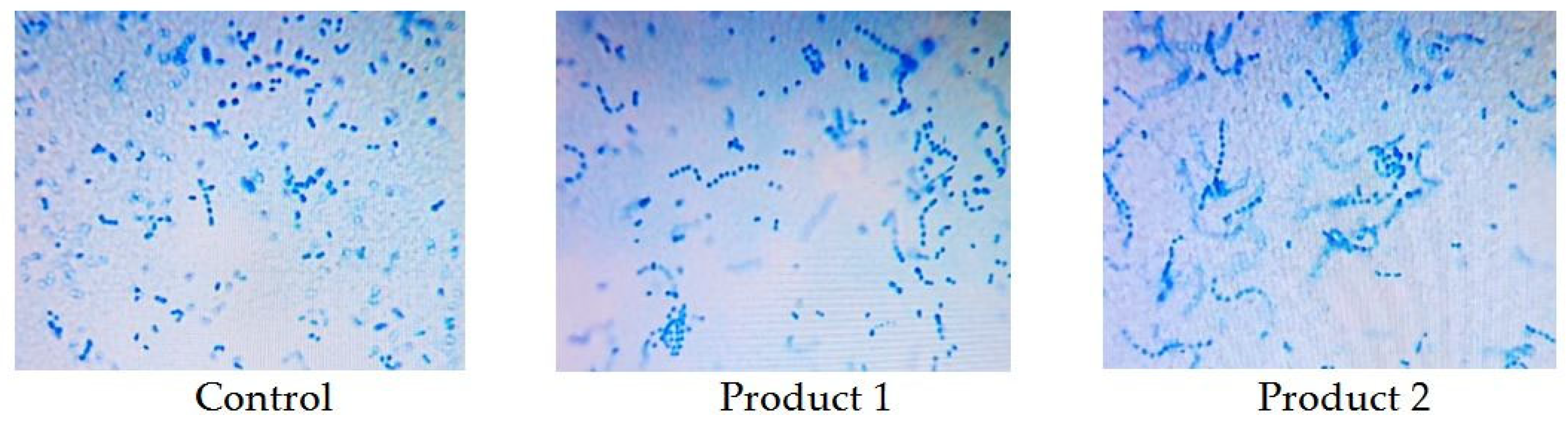 Fermentation 10 00377 g002