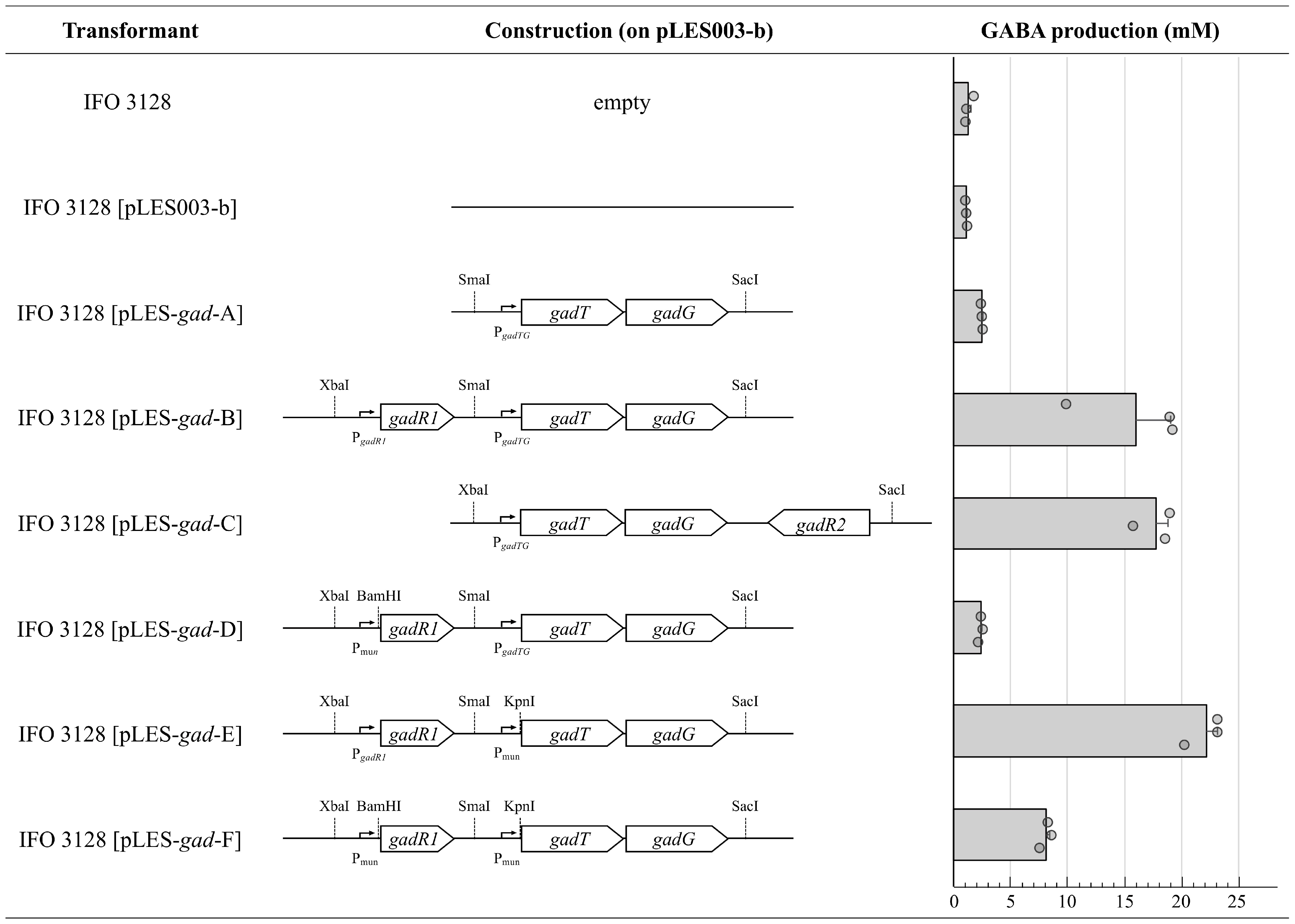 Fermentation 10 00379 g004