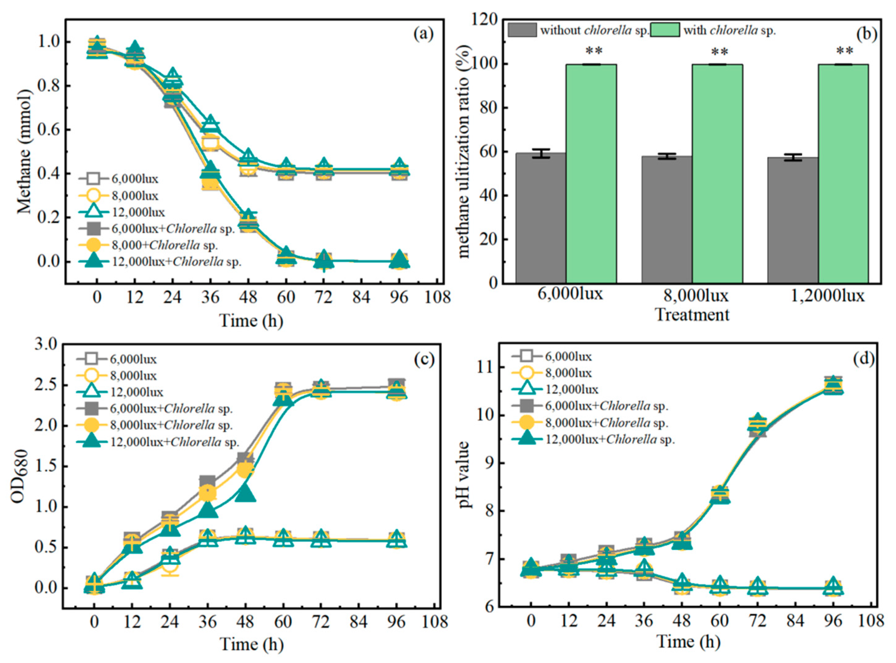 Fermentation 10 00383 g001