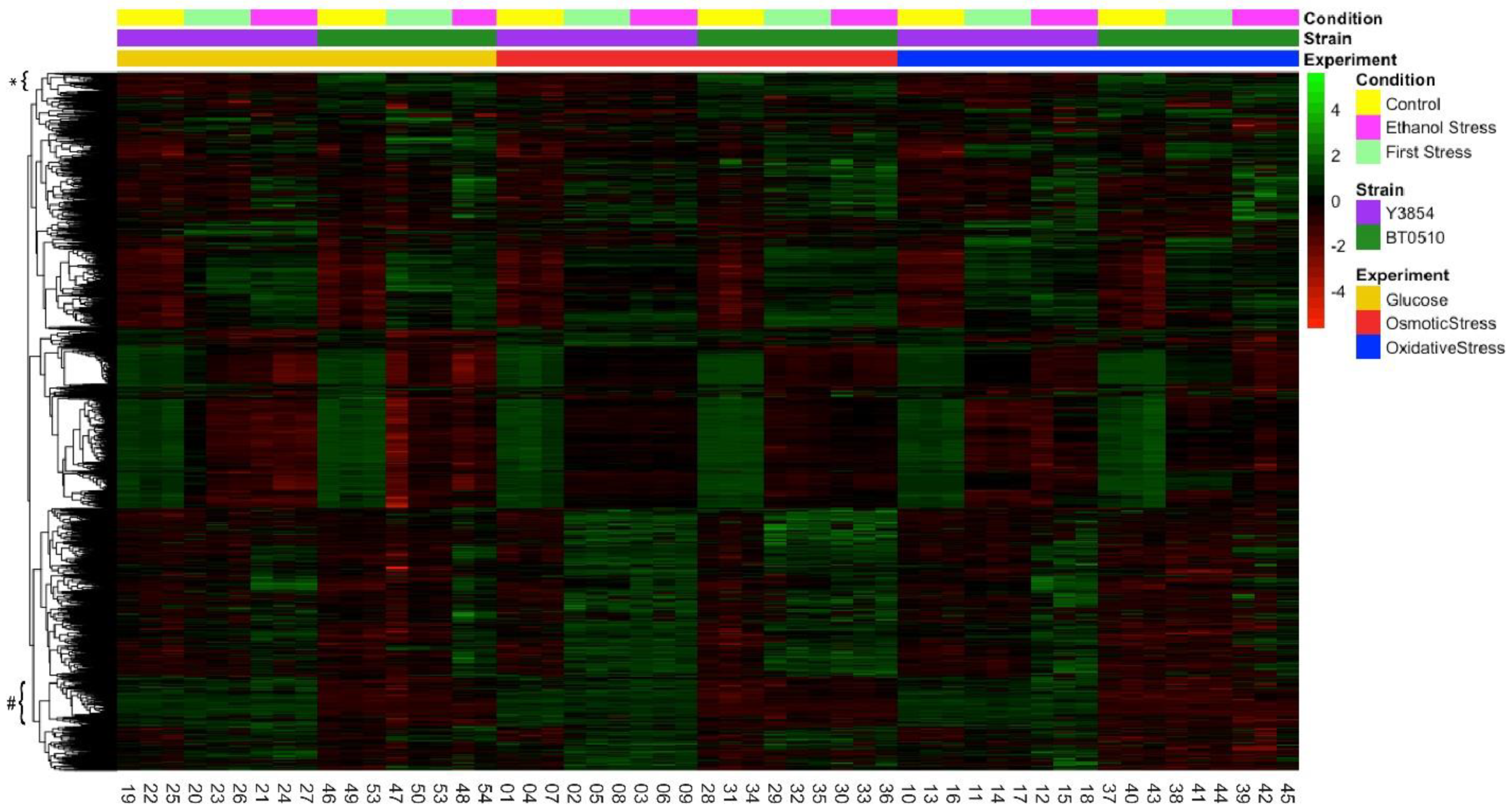 Fermentation 10 00395 g001 Fermentation 10 00395 g001