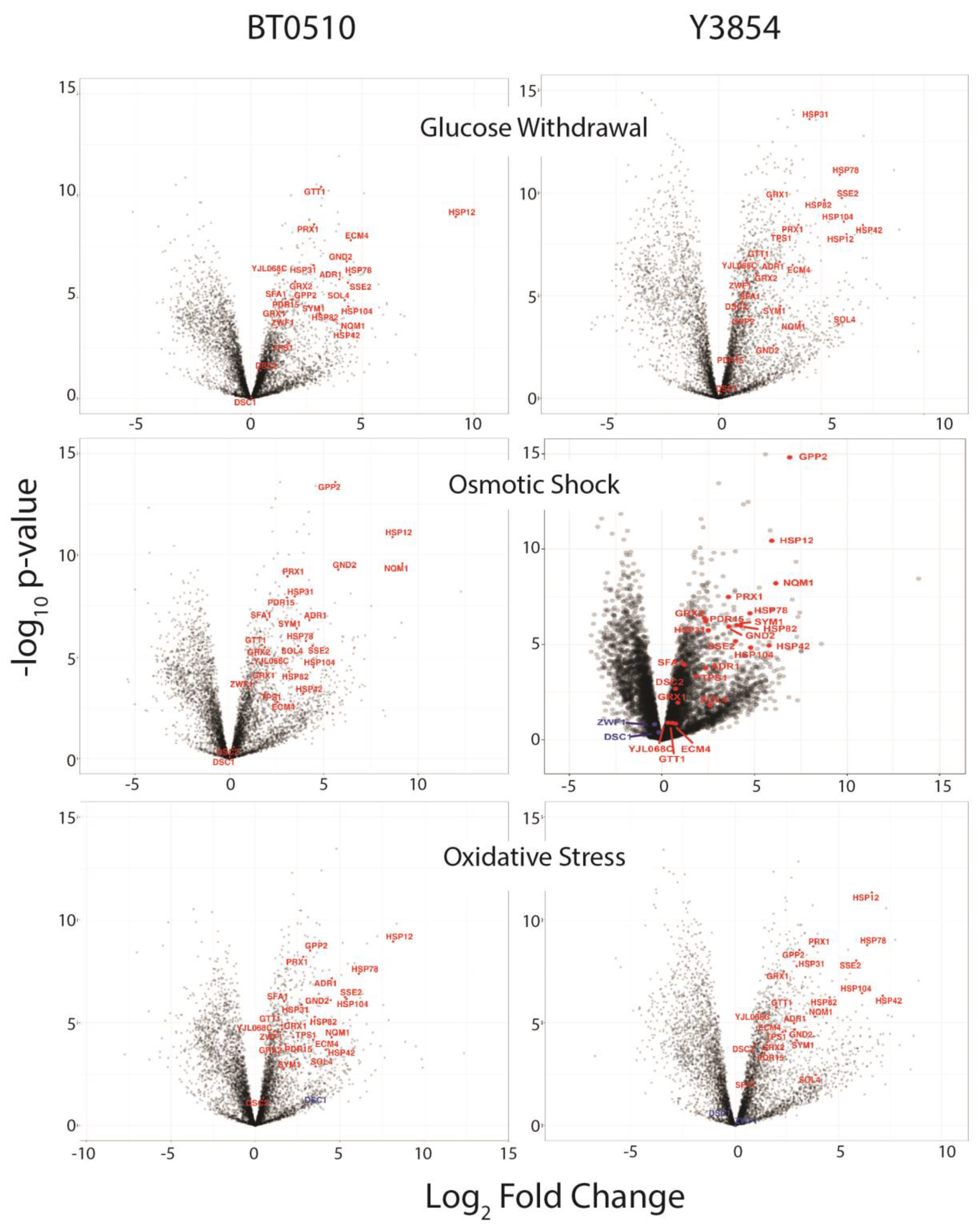 Fermentation 10 00395 g002 Fermentation 10 00395 g002