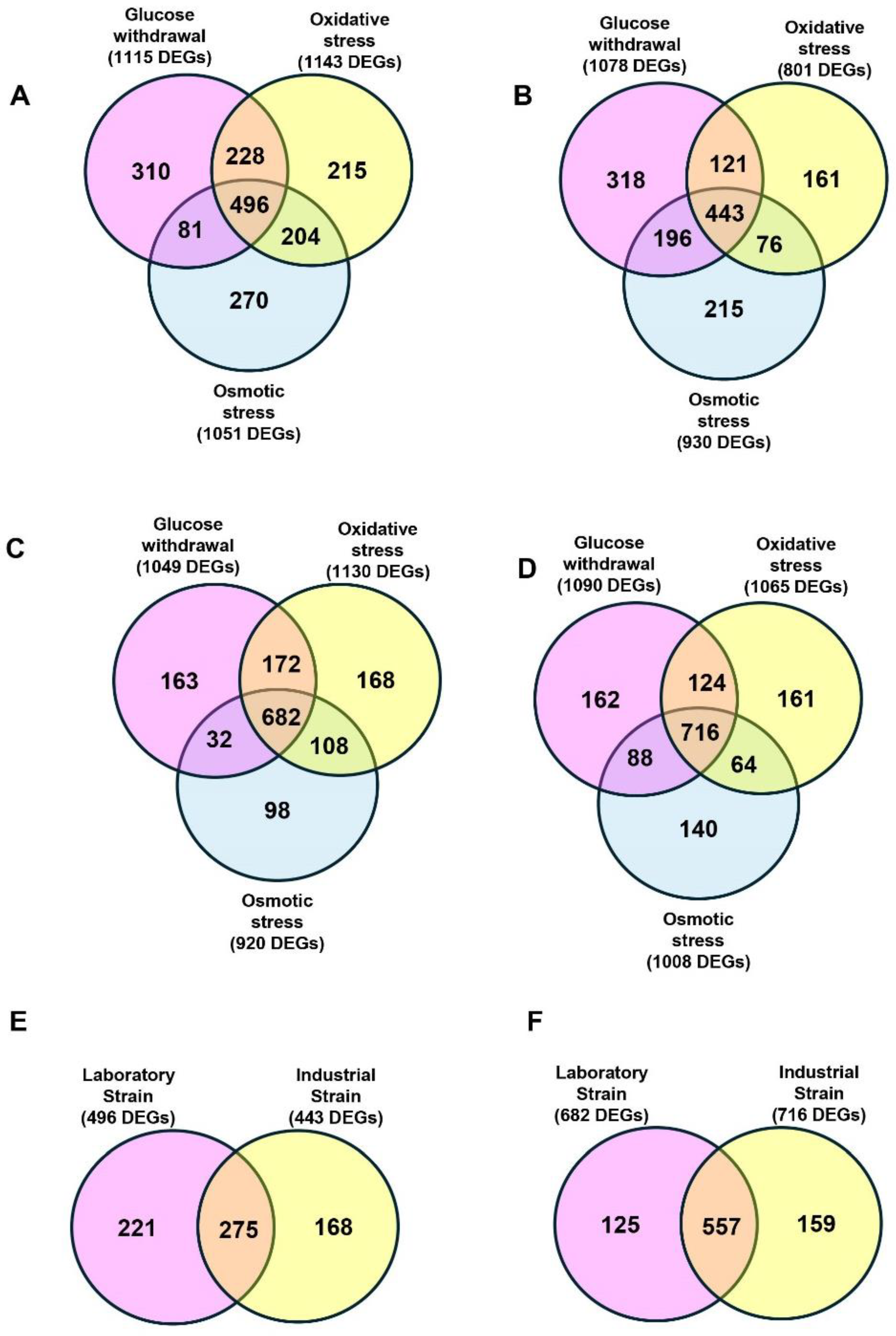 Fermentation 10 00395 g003 Fermentation 10 00395 g003