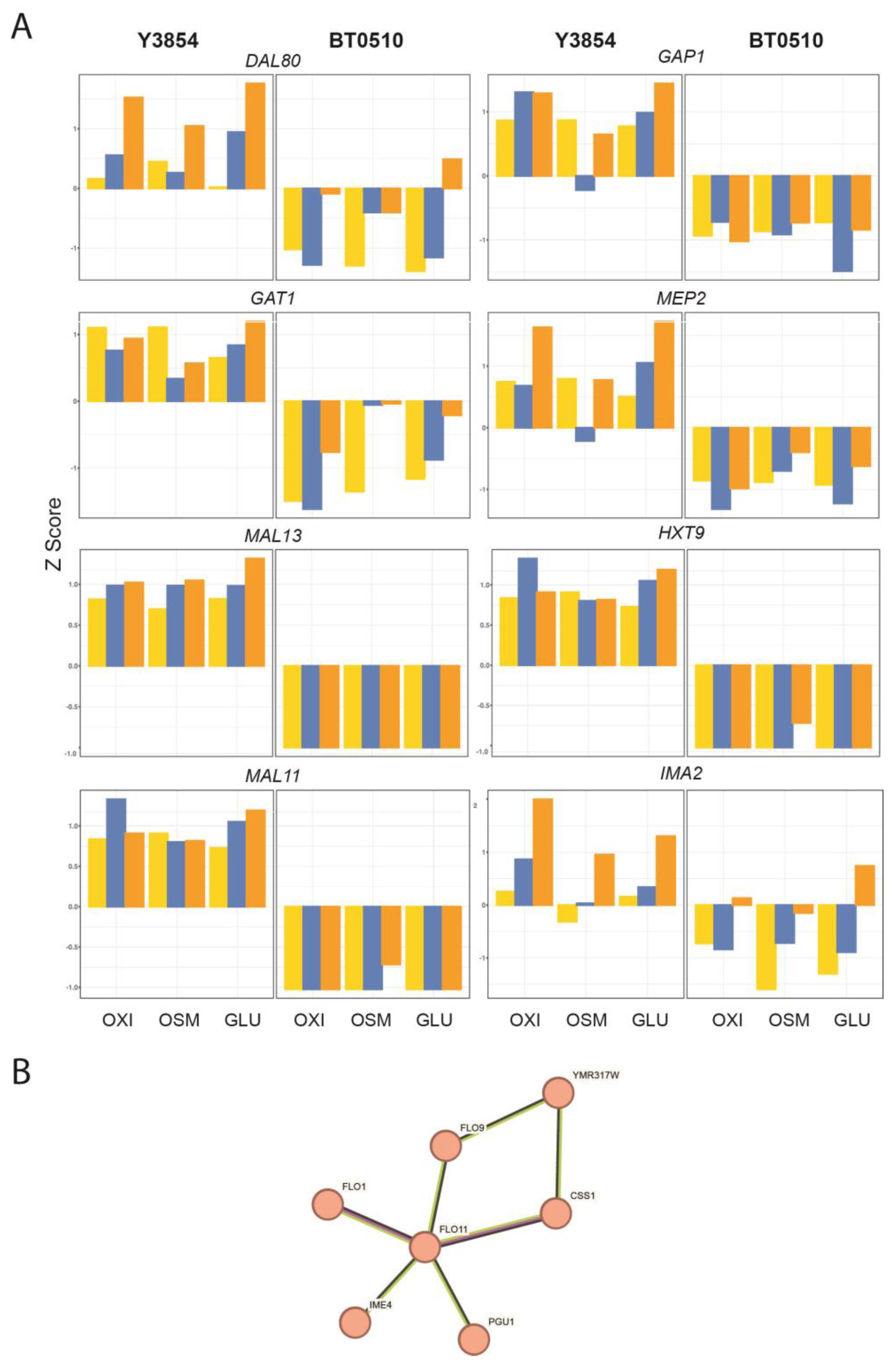 Fermentation 10 00395 g004 Fermentation 10 00395 g004