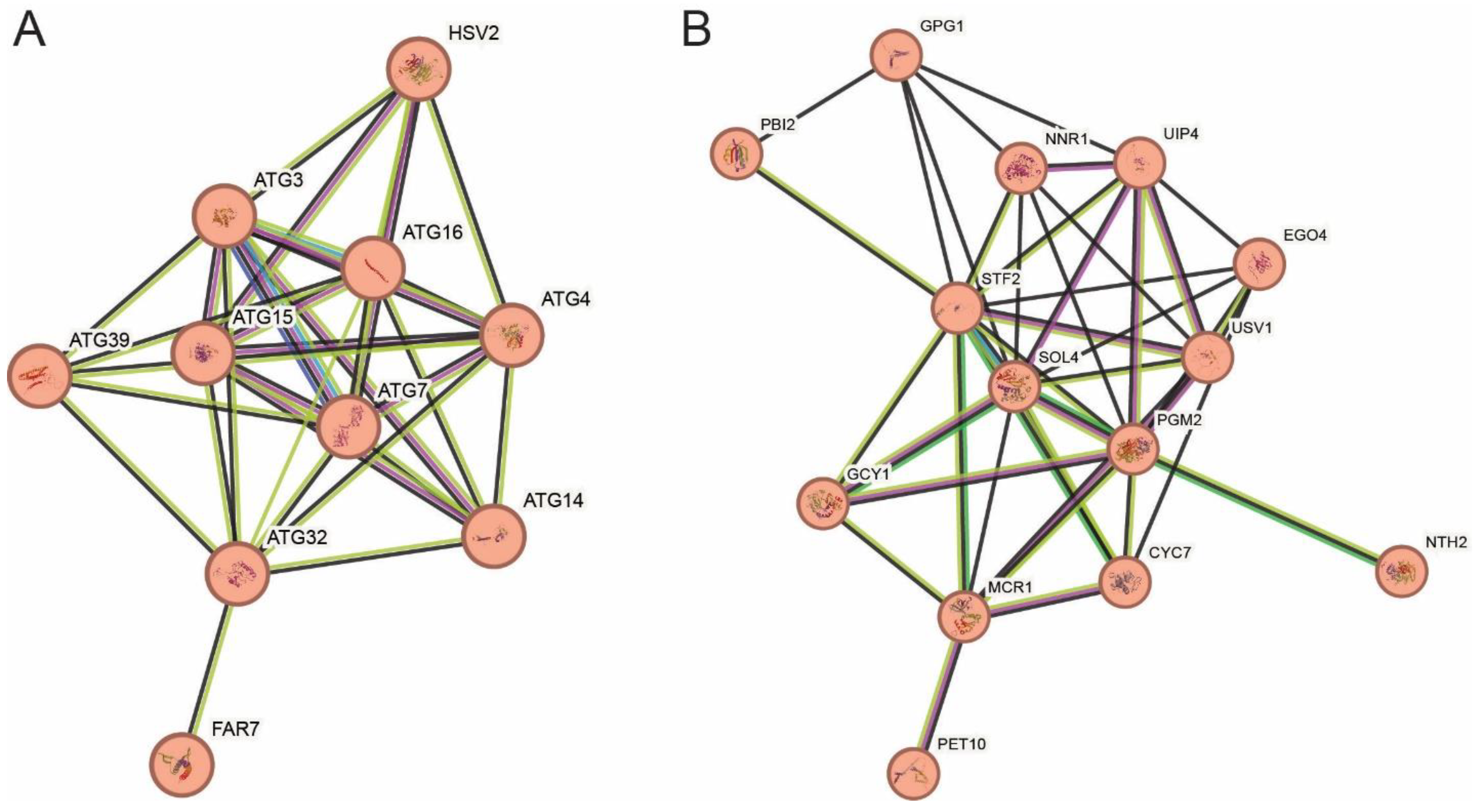 Fermentation 10 00395 g005 Fermentation 10 00395 g005