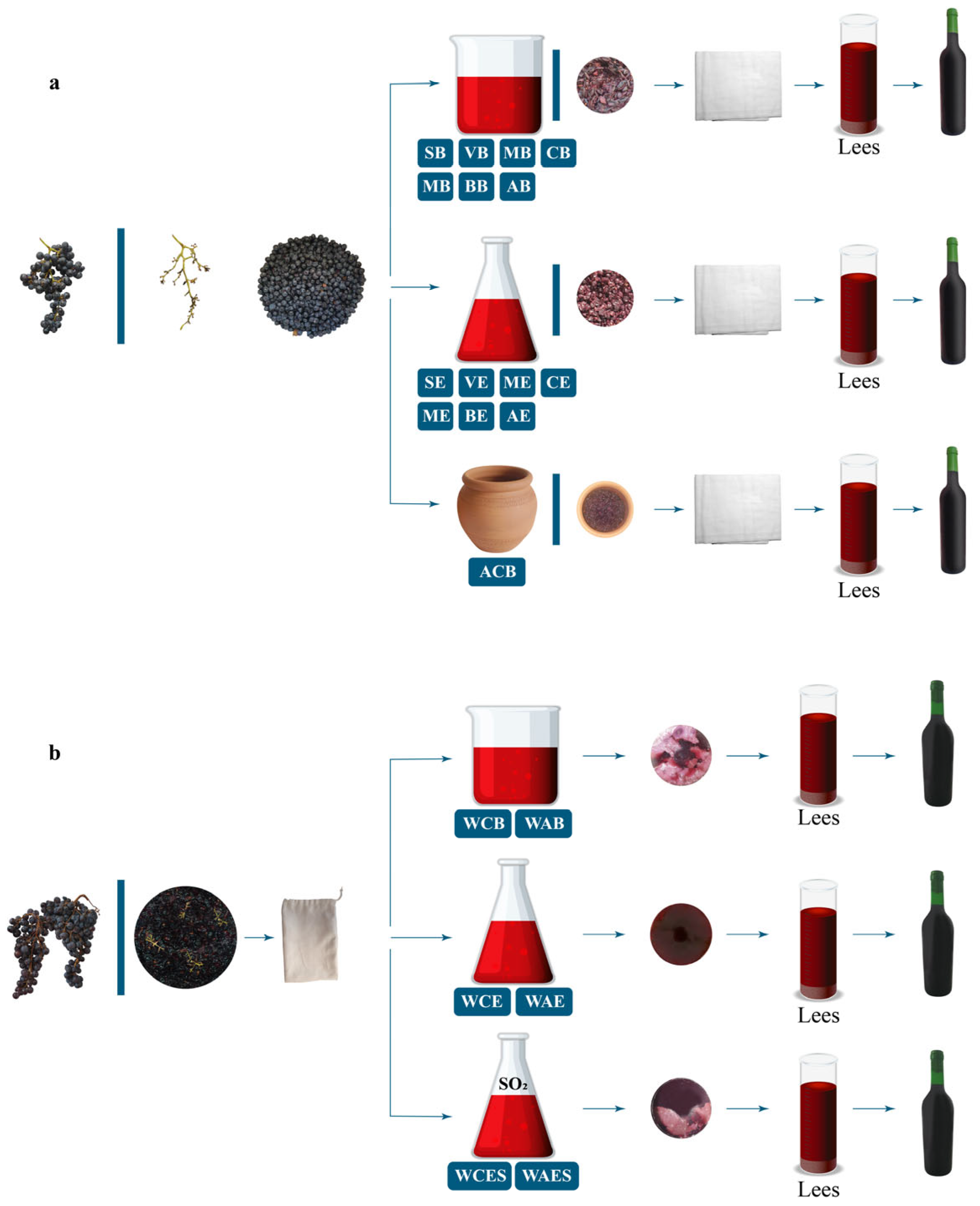 Fermentation 10 00401 g002