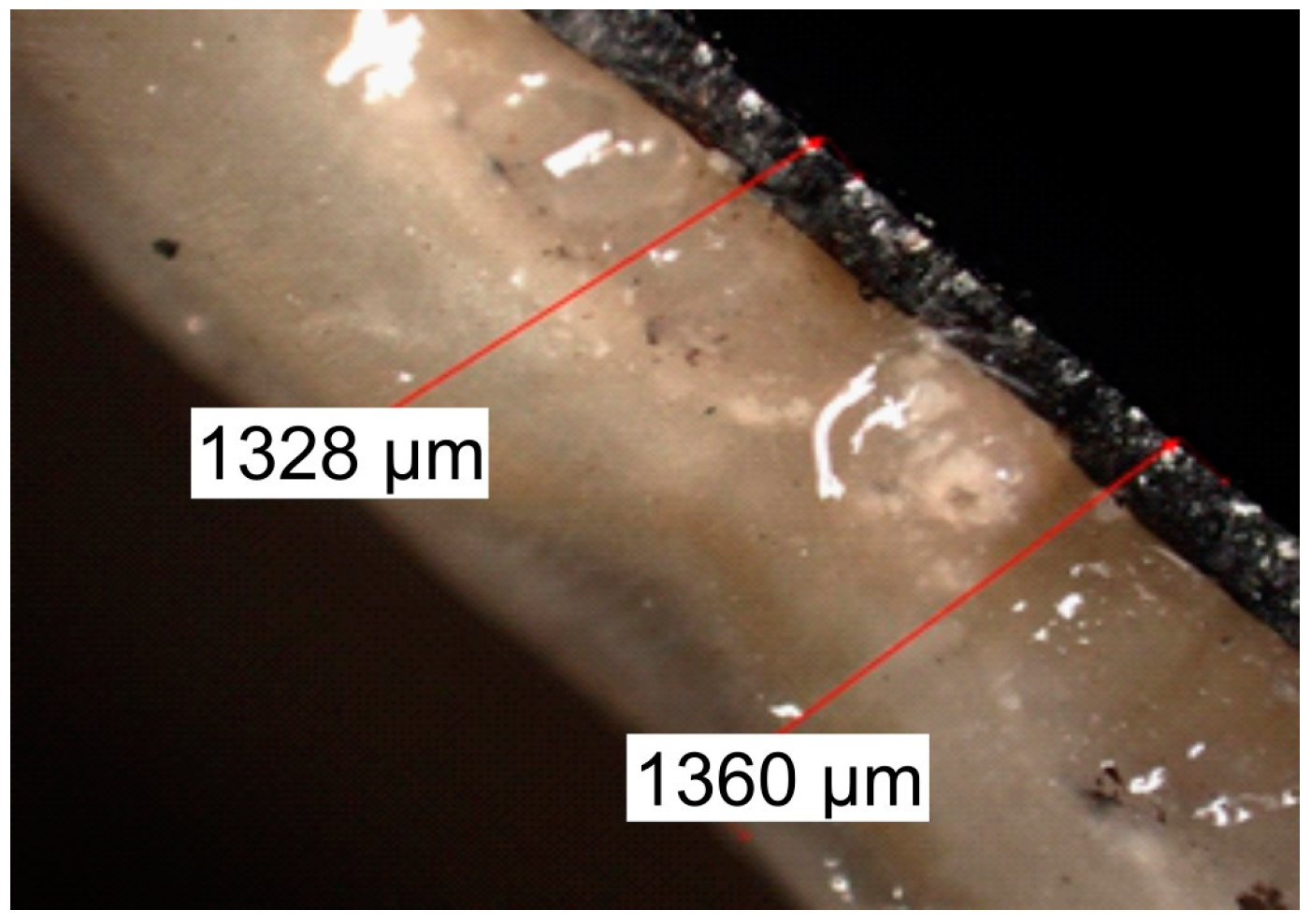 Fermentation 10 00408 g002