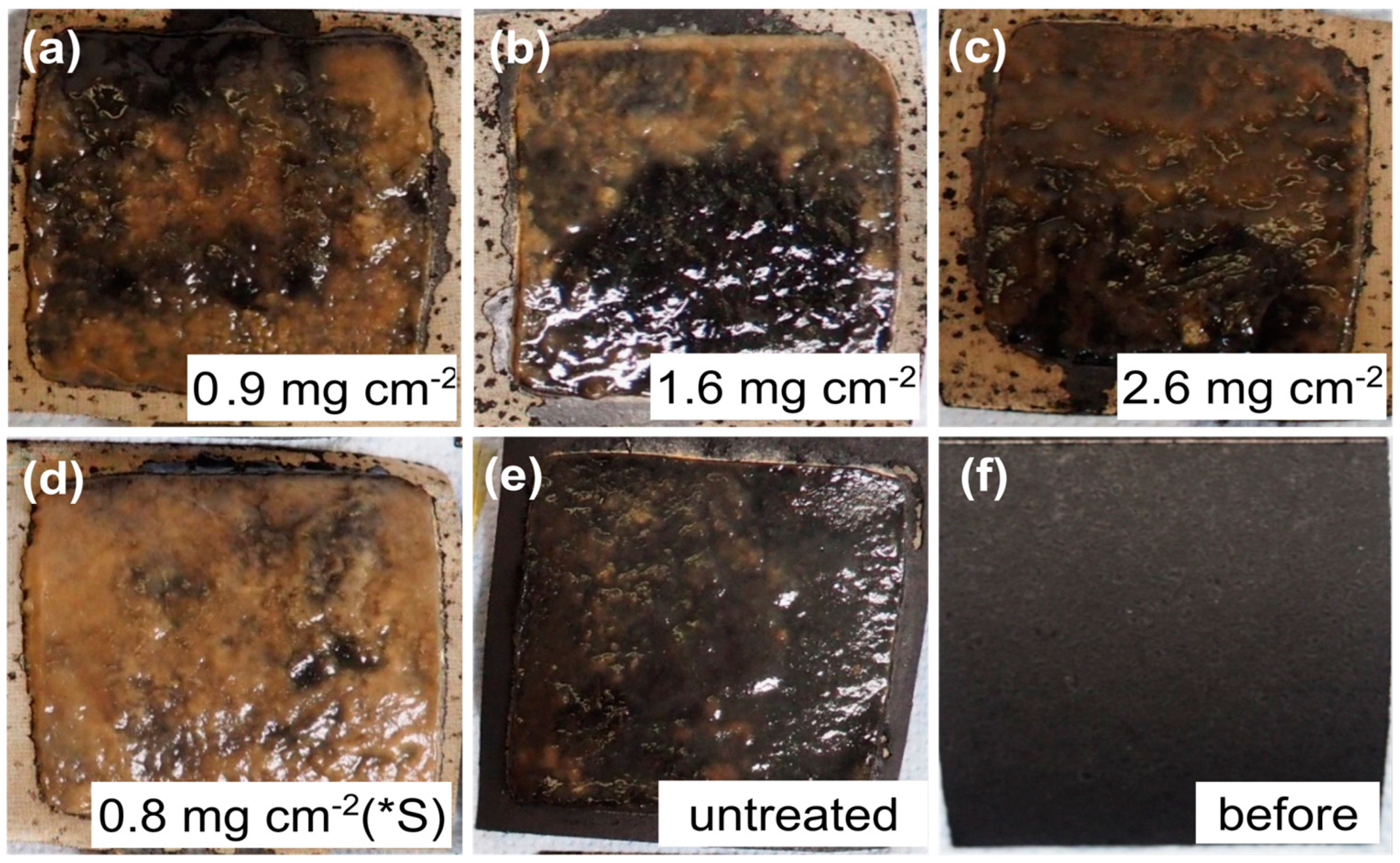 Fermentation 10 00408 g006