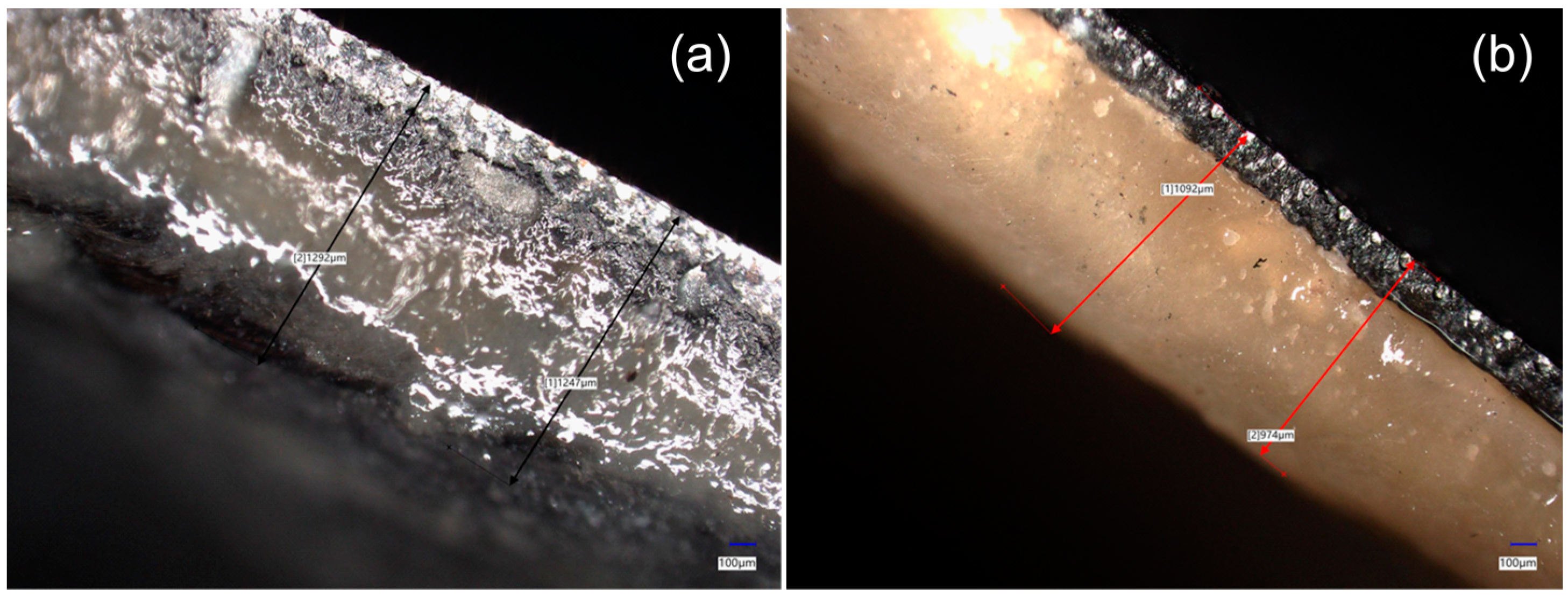 Fermentation 10 00408 g007