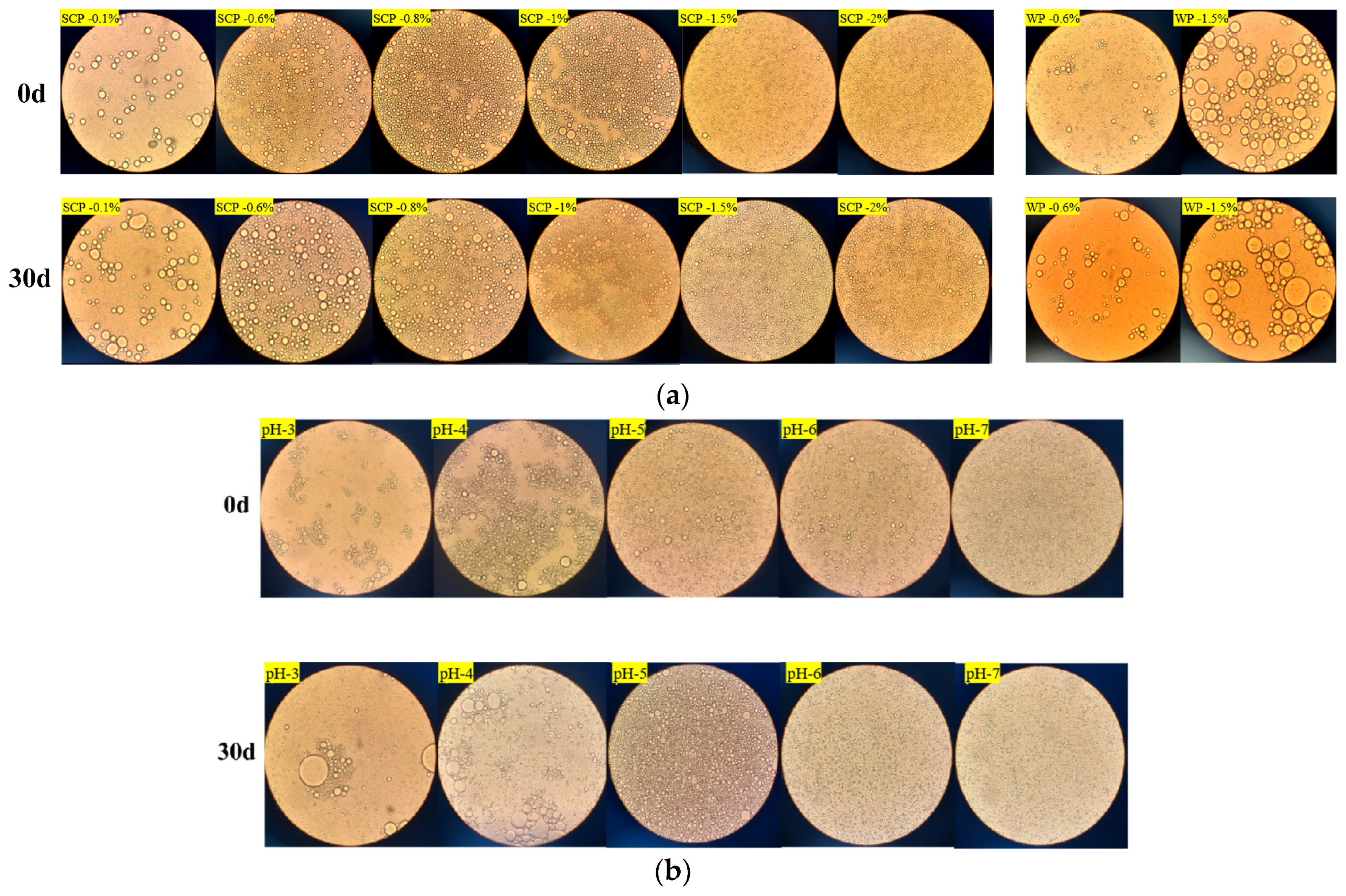 Fermentation 10 00416 g007