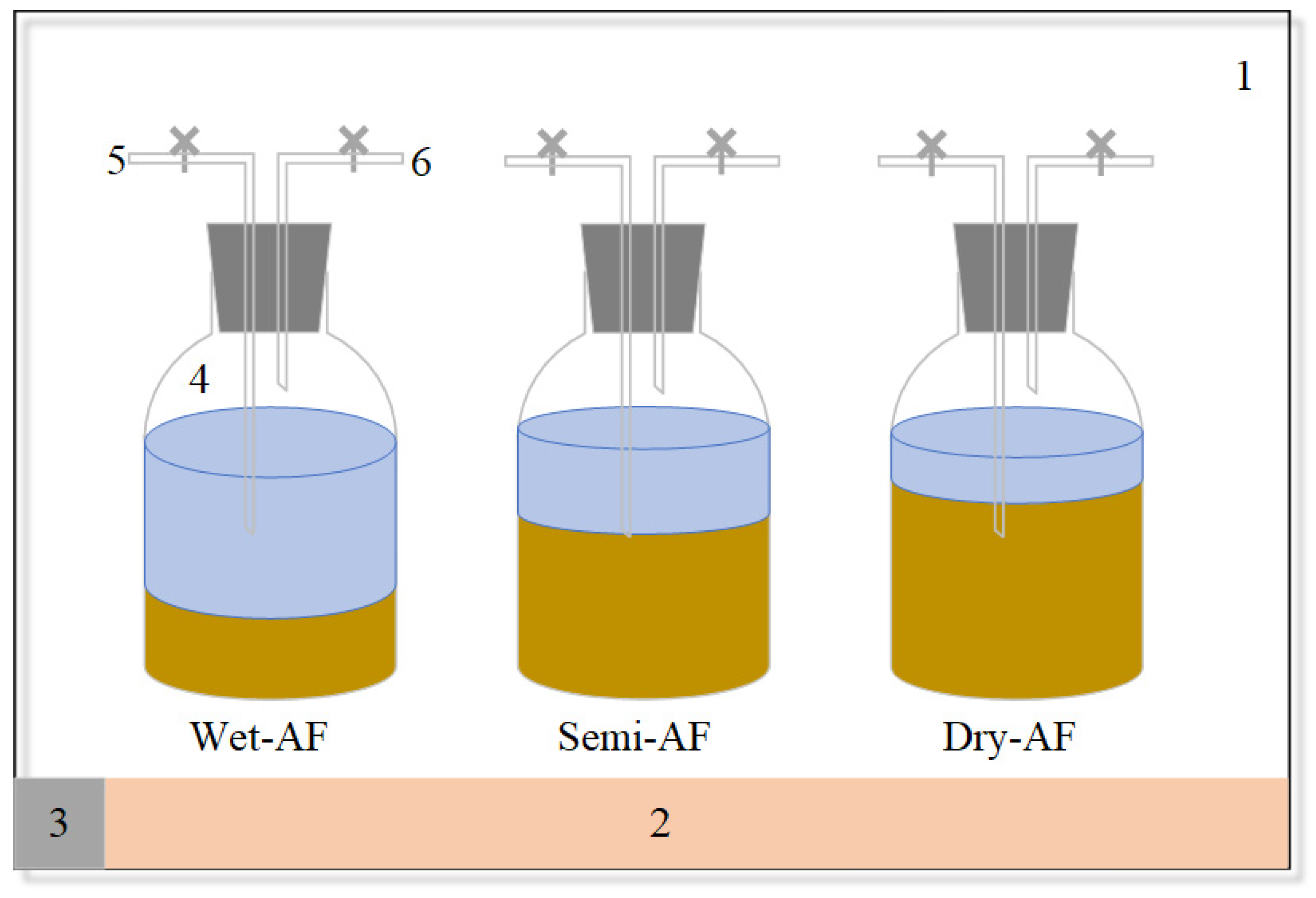 Fermentation 10 00437 g001