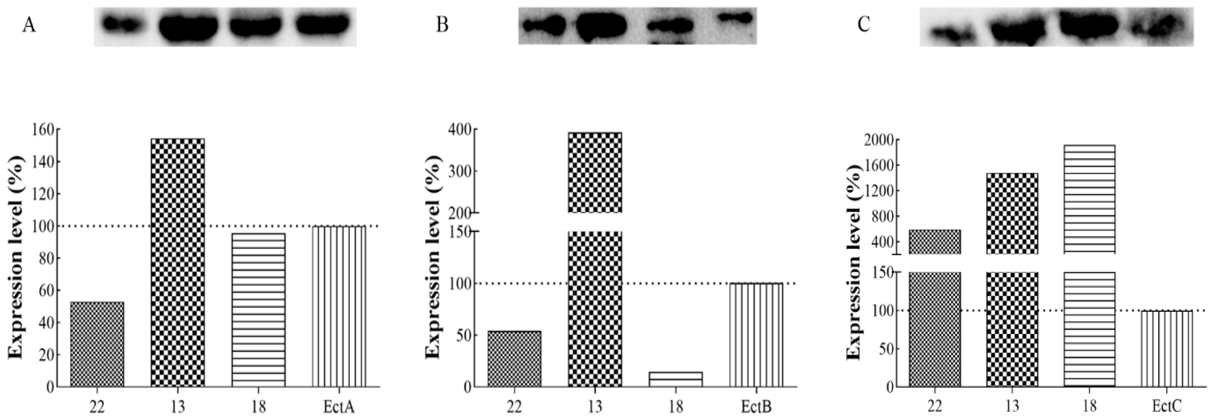 Fermentation 10 00450 g006