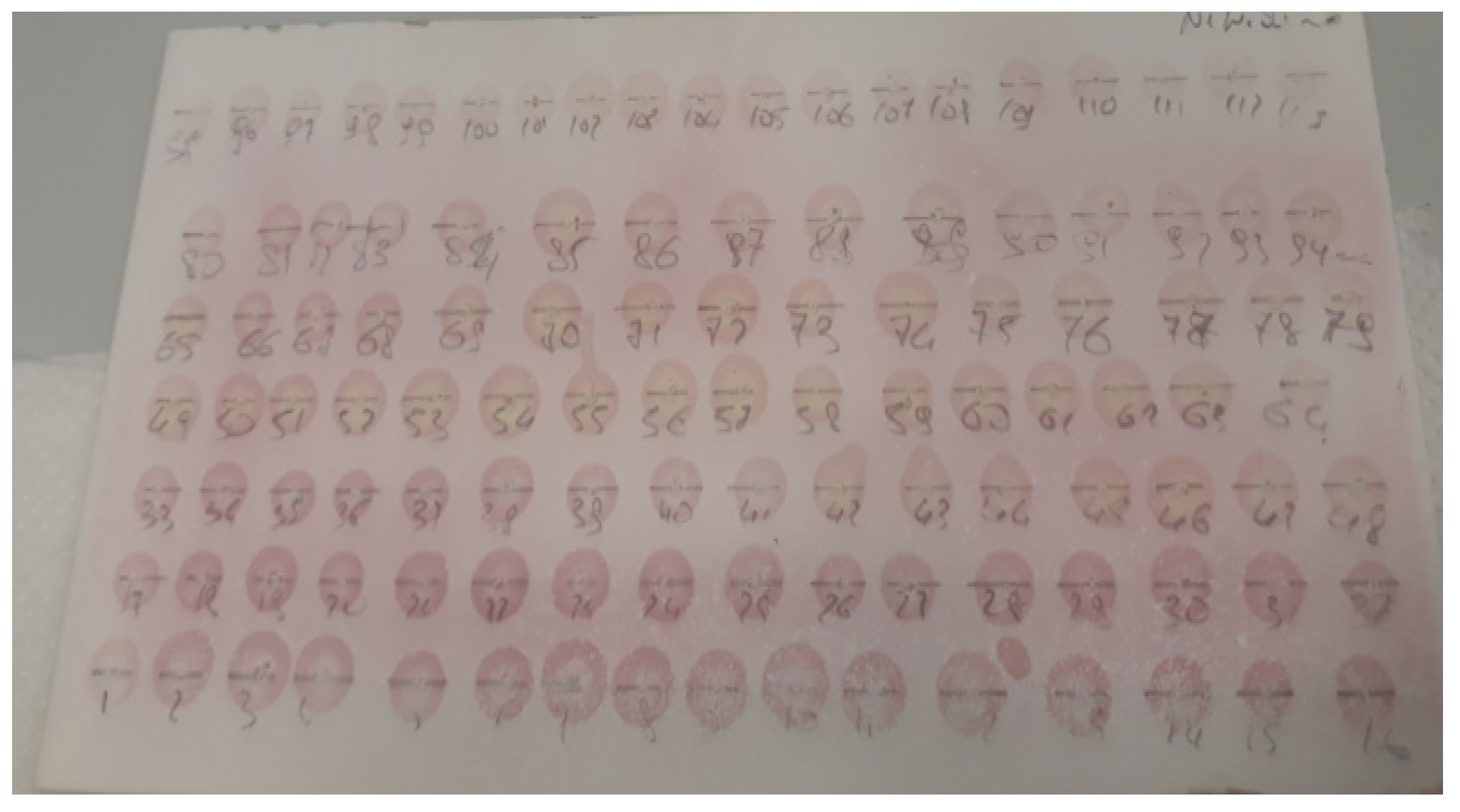 Fermentation 10 00453 g007