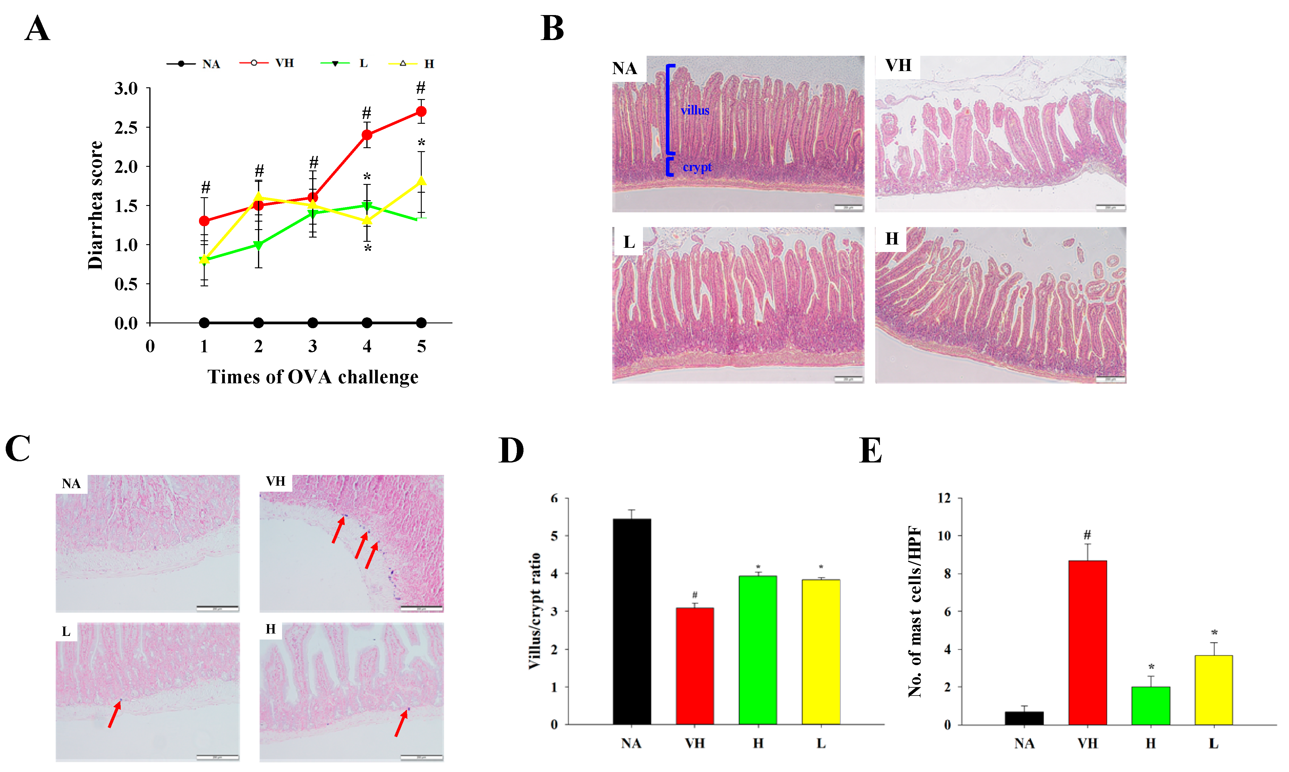 Fermentation 10 00457 g002