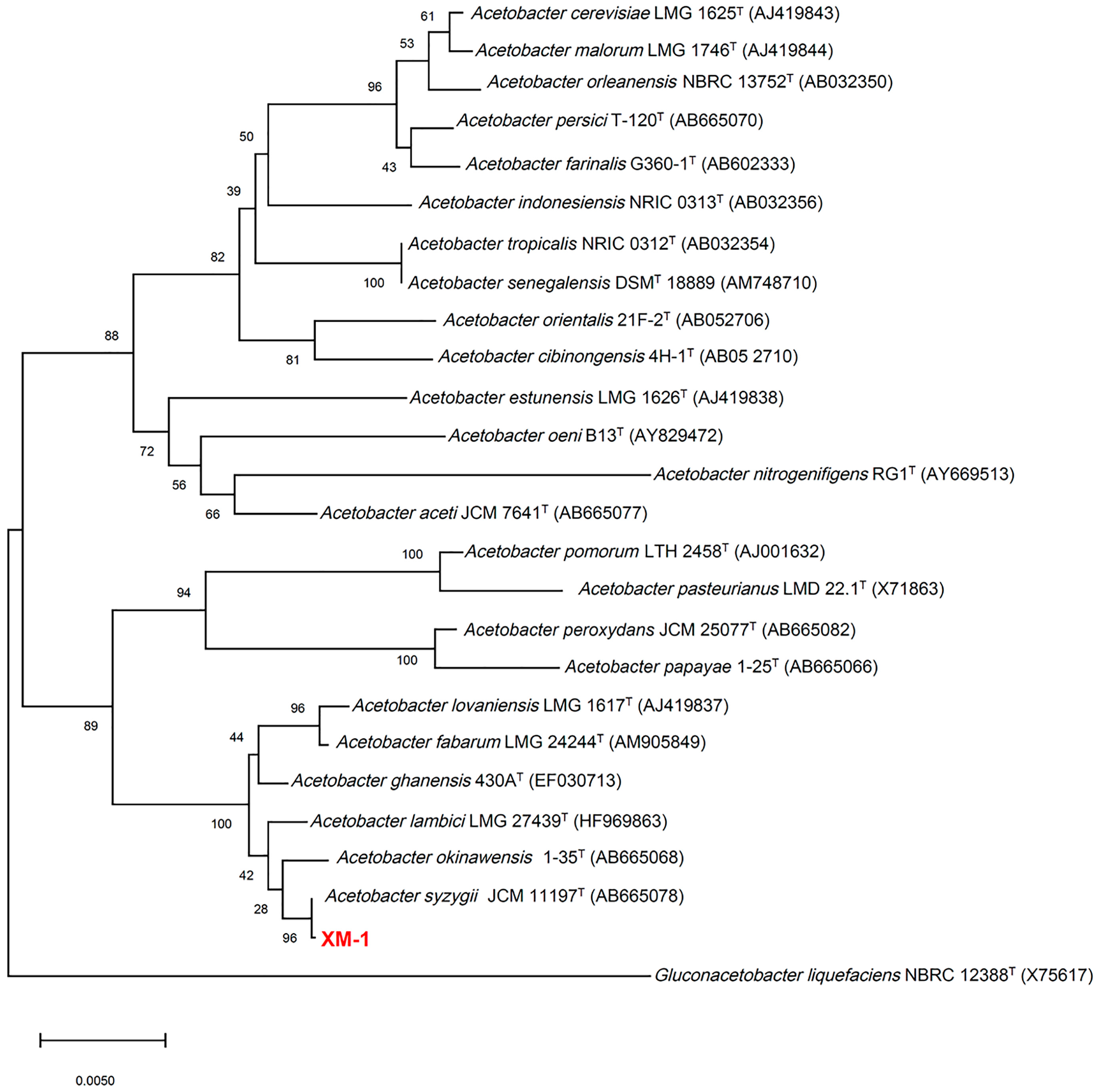 Fermentation 10 00459 g001
