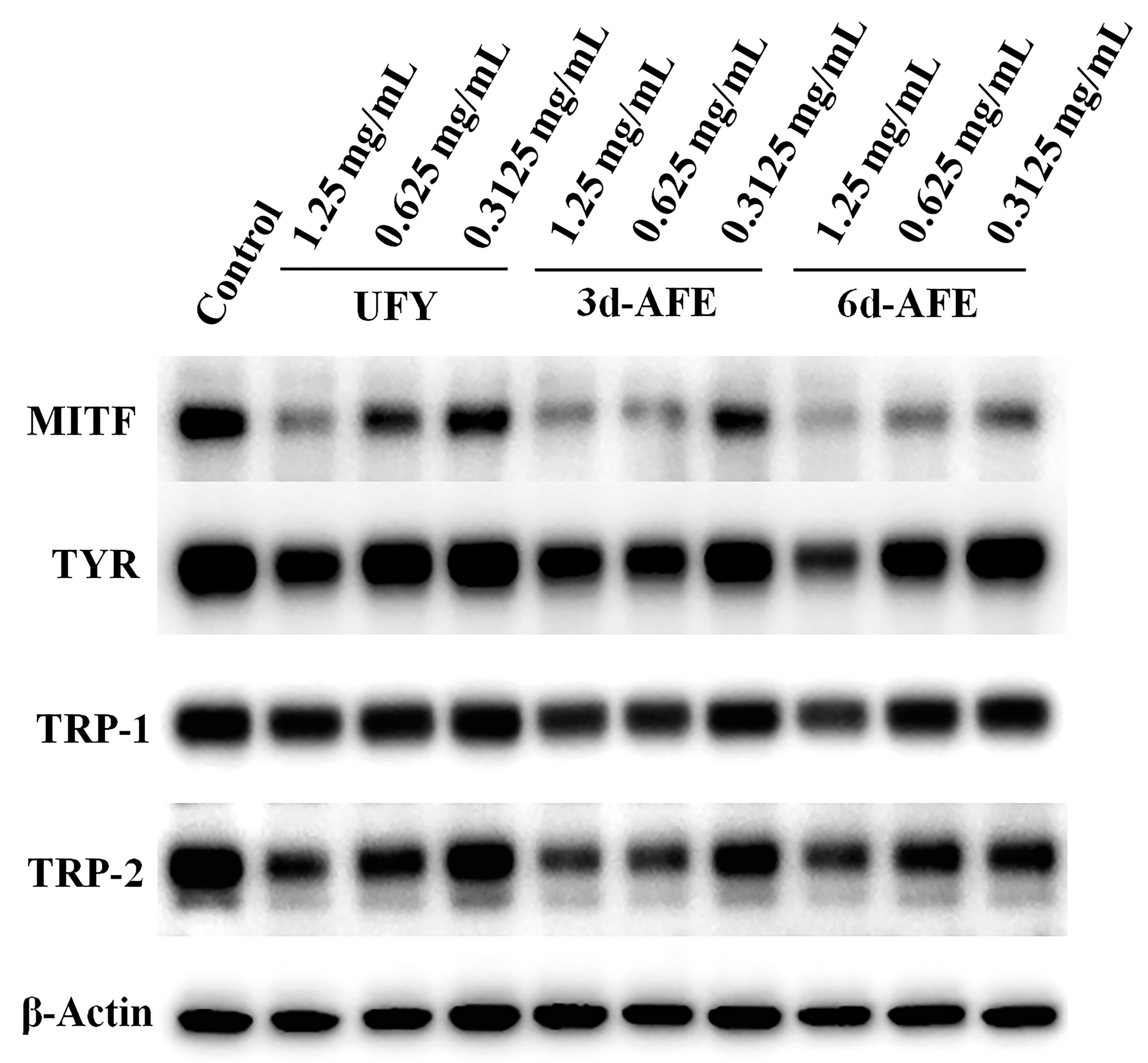 Fermentation 10 00459 g005