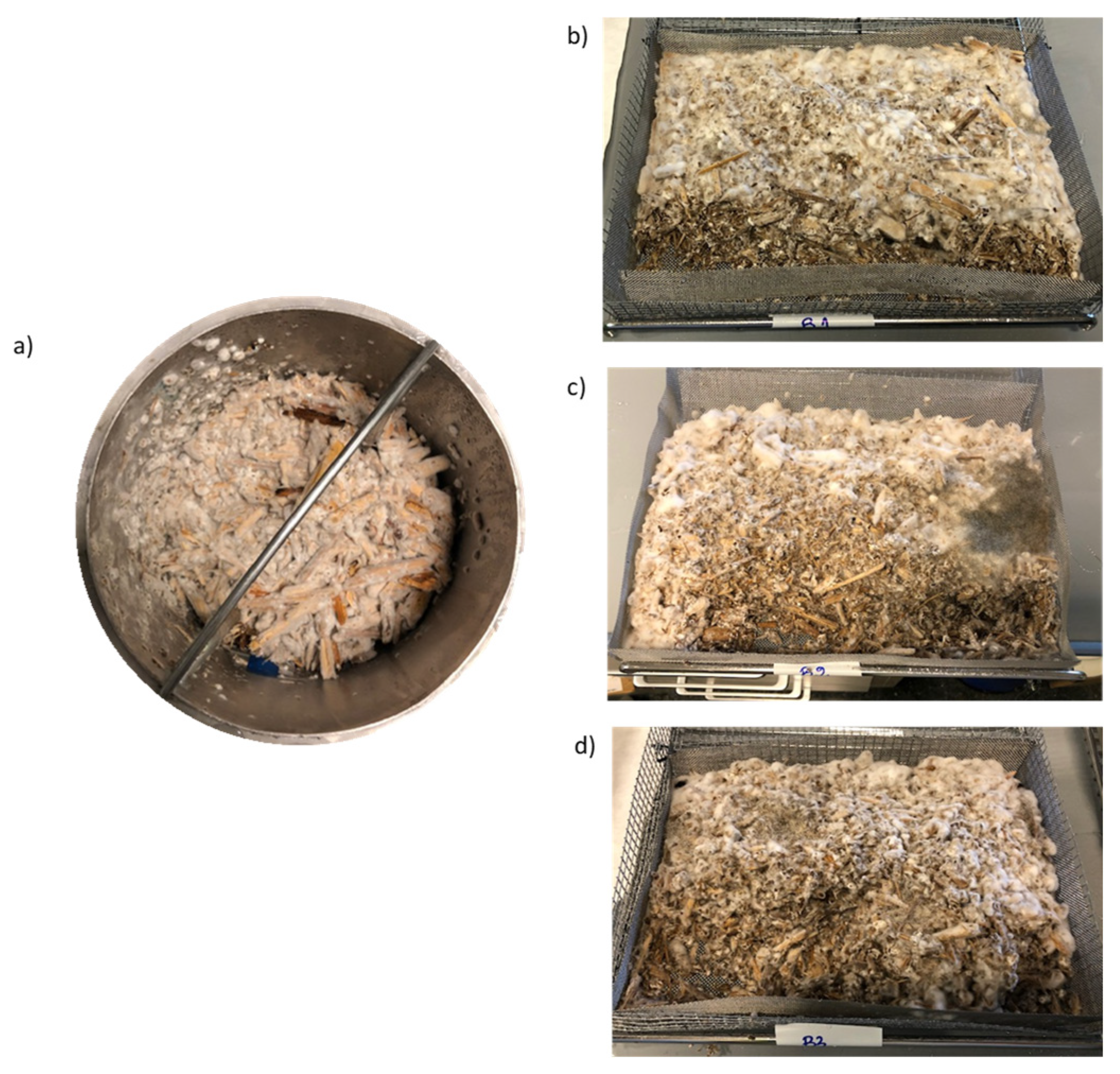 Fermentation 10 00481 g005