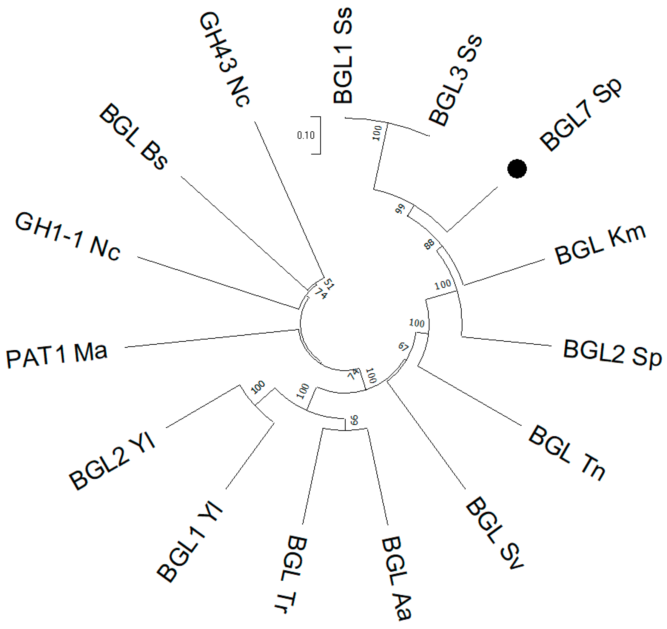 Fermentation 10 00490 g007 Fermentation 10 00490 g007